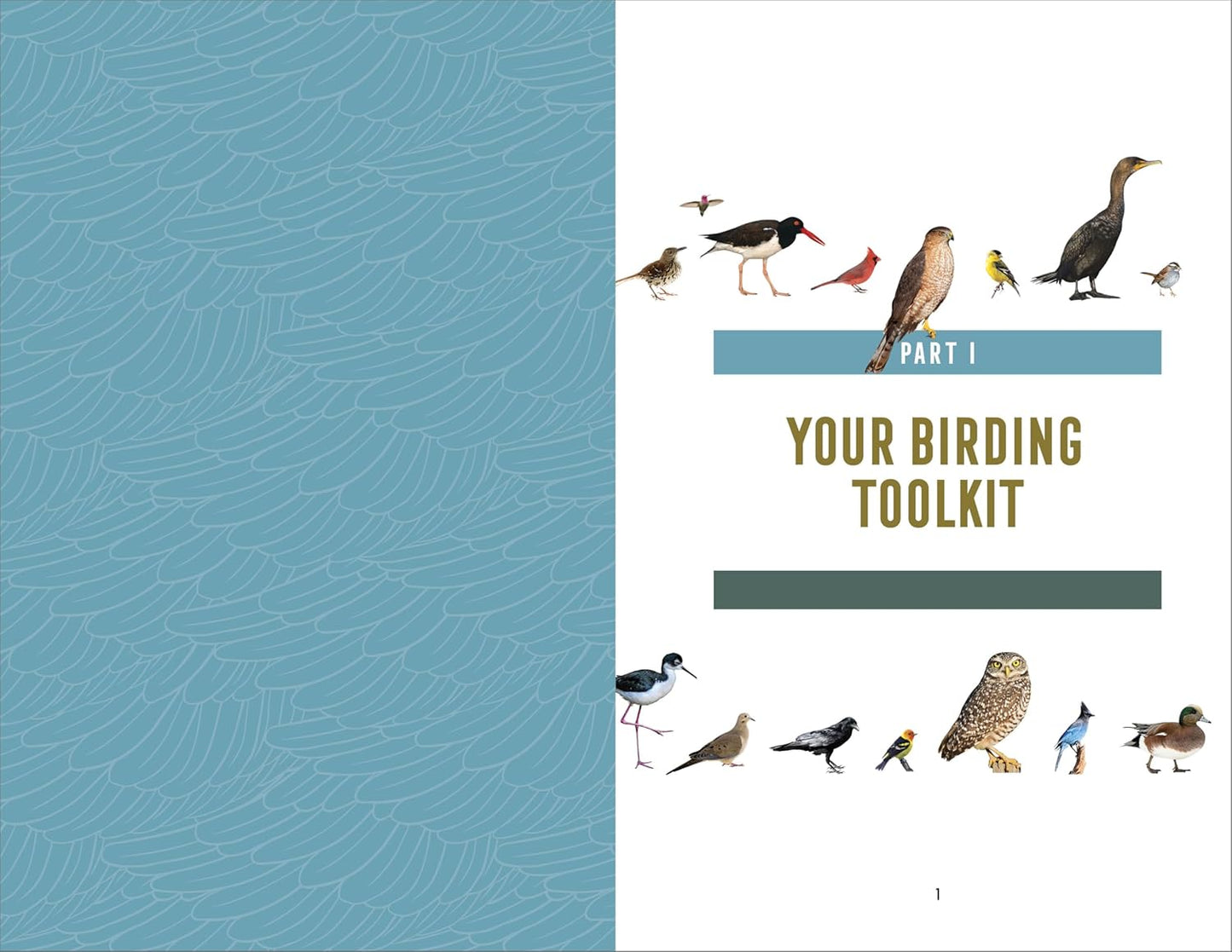 Bird Watching Field Journal: Log, Sketchbook, and Life List (Bird Watching Adventures)
