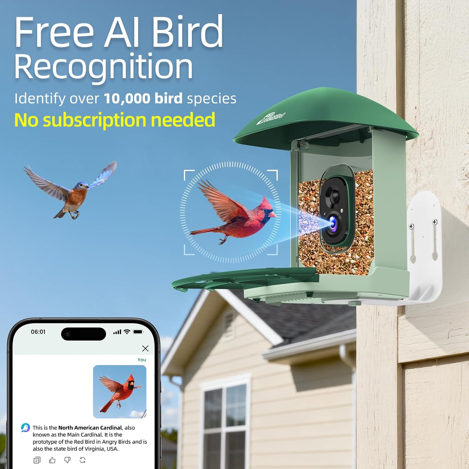 Smart Bird Feeder with 4MP HD Camera, Birdwatching Camera with Free AI