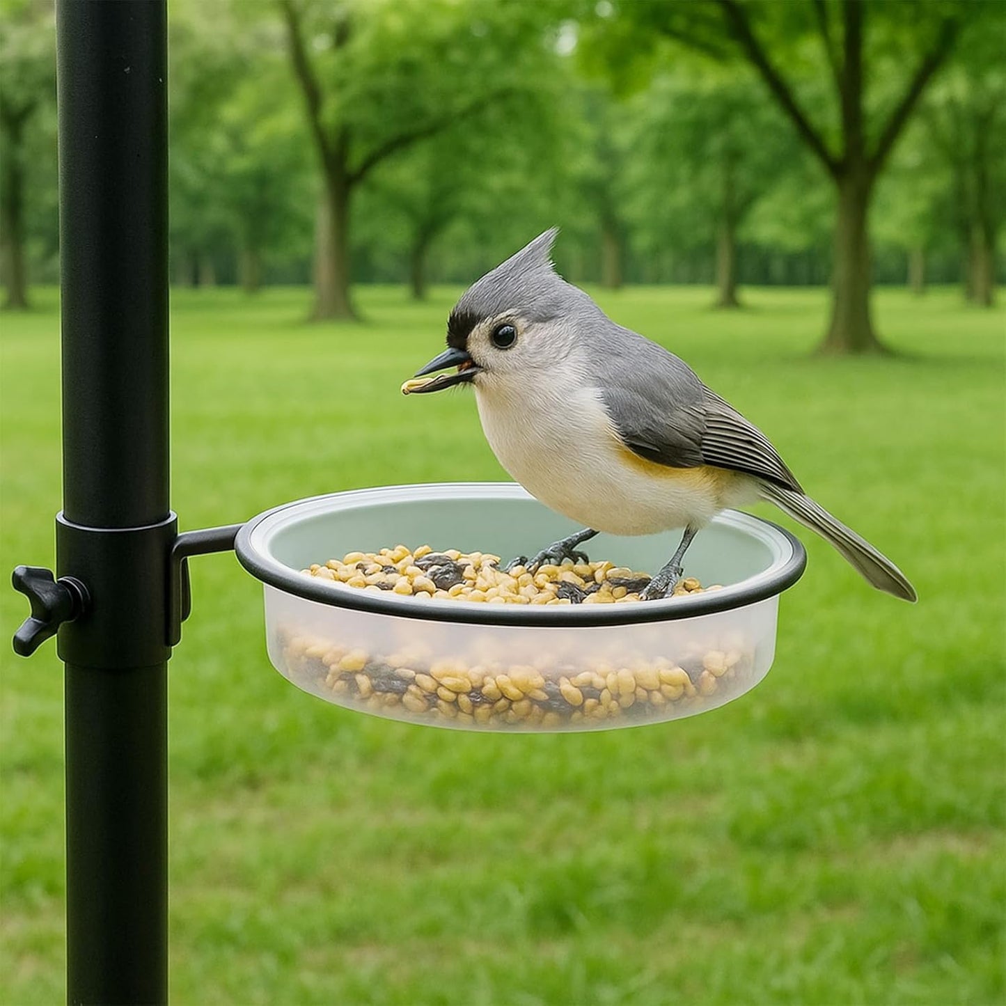 2 Pcs Plastic Round Bird Feeders Water Bowls Birdbath Water Dish Wild Birds Seed Feeder Tray Replacement Feeding Station Bath Tray Accessories Perfect for attracting Birds(White)