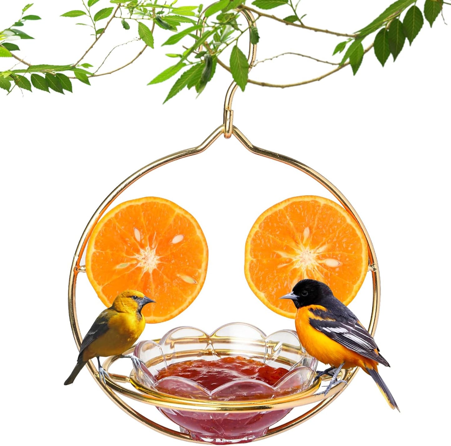 Oriole Feeders for Outdoors Hanging with Fruit Holder, Golden Oriole Feeders, Easy to Disassemble and Wash, Used for Bird Watching in The Courtyard