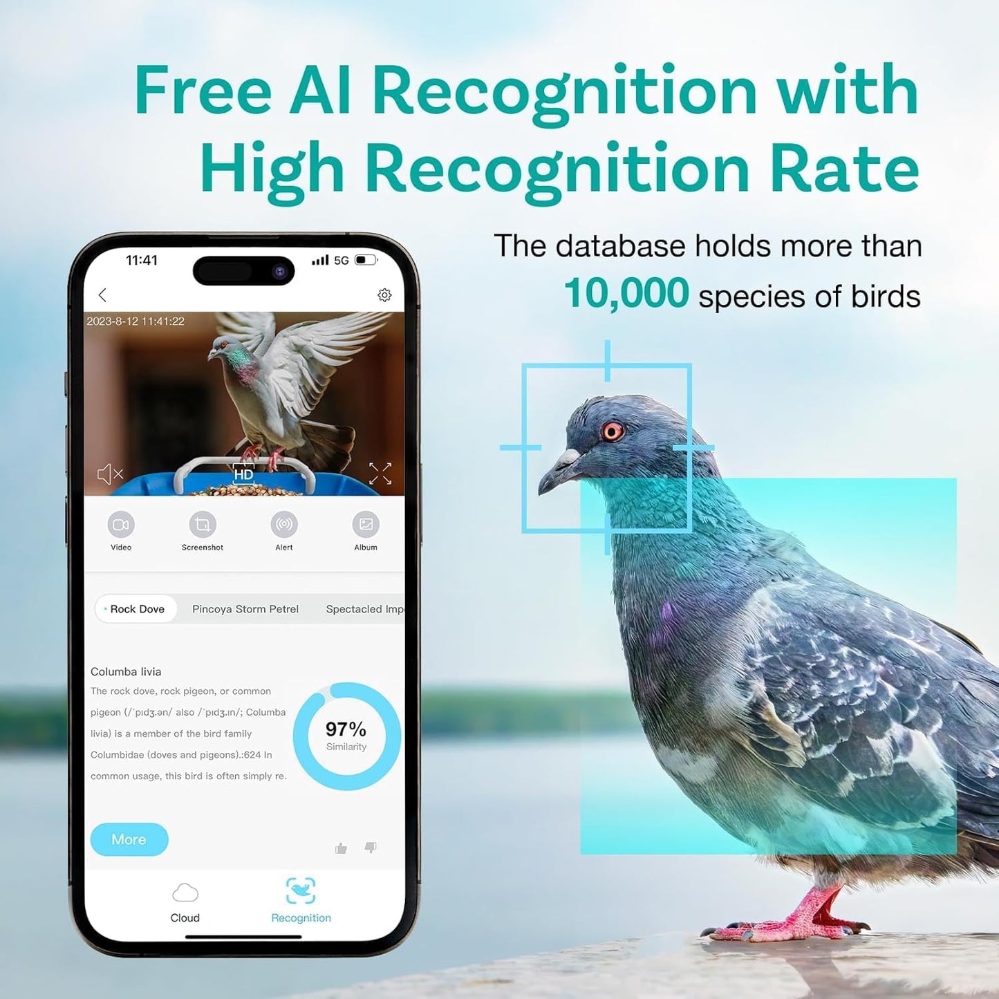 1296P HD AI Identify Smart Bird Feeder with Camera,1296P HD AI Identify Wild Watching Camera, Auto Capture Videos & Motion Detection,Gift for Bird Lover (2.4G HZ WiFi)(Blue)