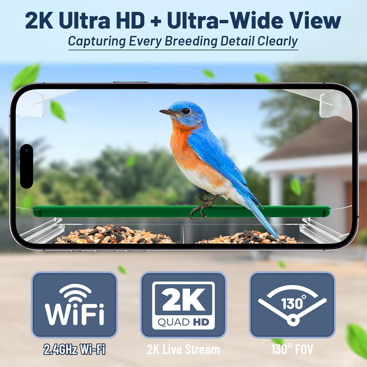 Smart Window Bird Feeder with Camera, 1080P HD Birds Feeder with Night