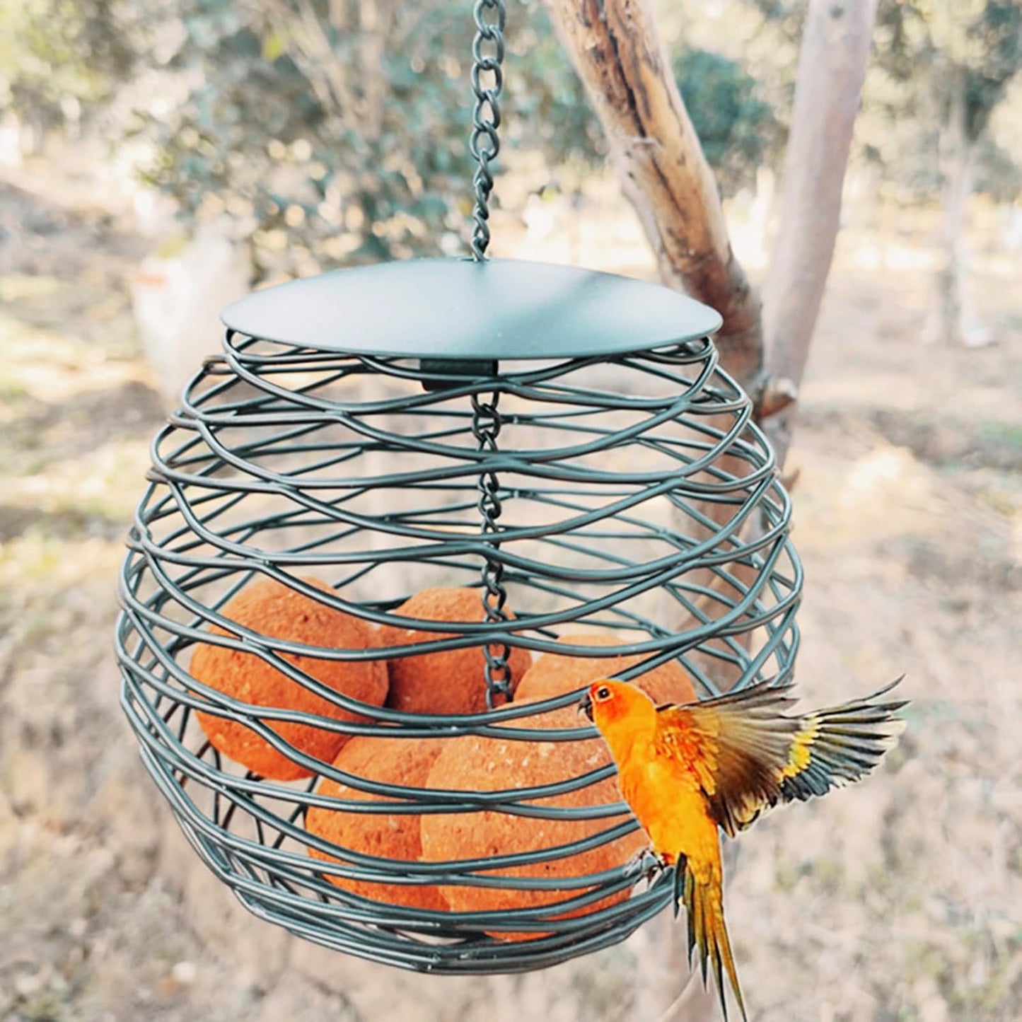 Birds Dispenser with Roof for Wild Sparrows Garden Suet Basket Outdoor Hanging Dispenser for Wild Birds Large Capacity Bird Feeders for Outside
