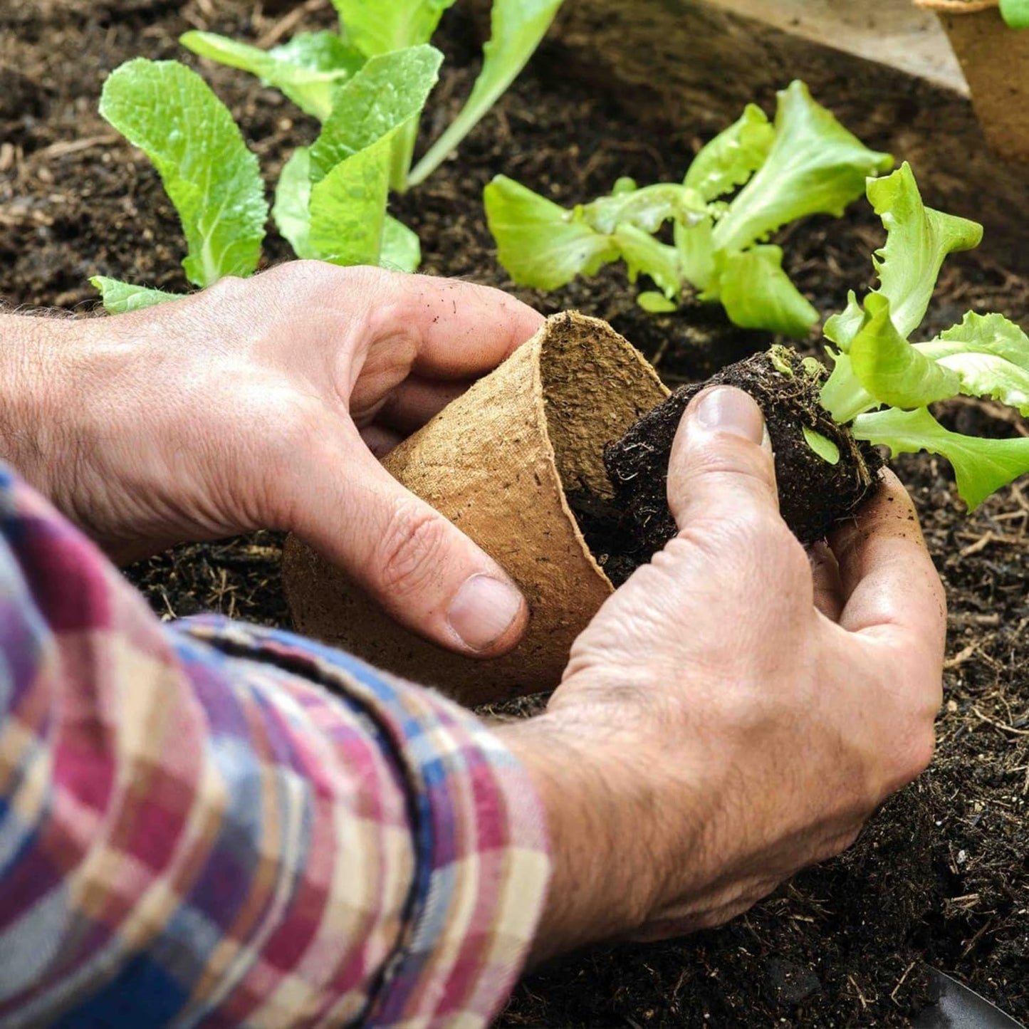 50 Pack 4 Inch Peat Pots, Biodegradable Seed Starter Pots with Drainag