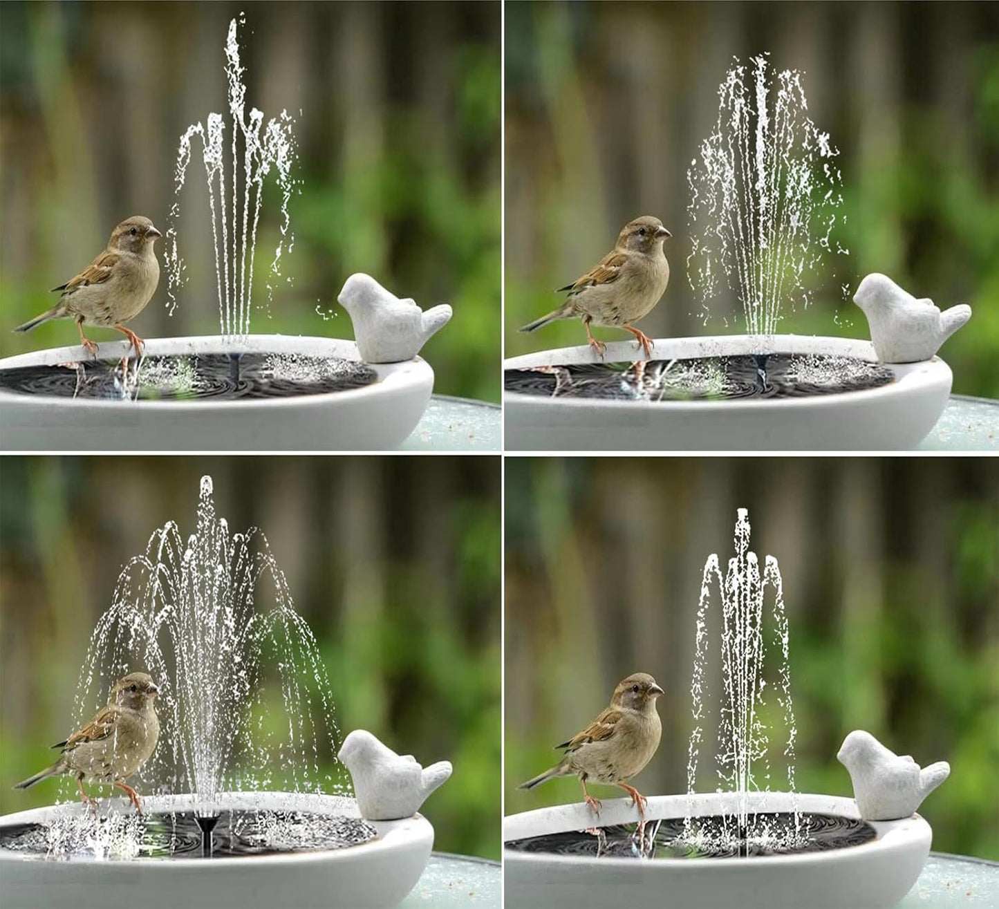 Lewisia Solar Bird Bath Fountain Pump USB Charging + Solar Powered Water Pump for Birdbath Small Pond Garden Decoration