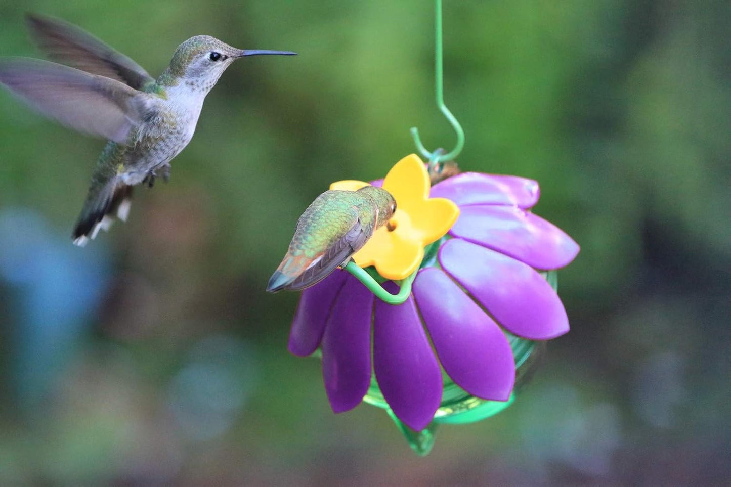 Nature's Way Bird Products SFHF2 So Real Single Flower Hummingbird Feeder, Purple, 4" Dia.