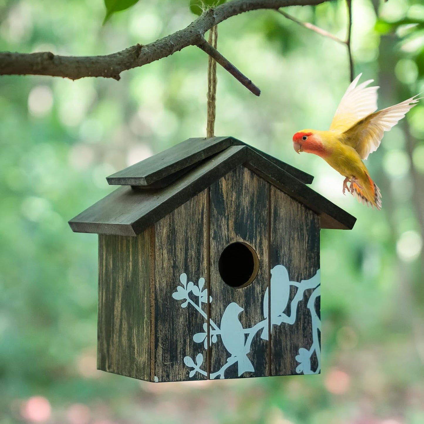 Topadorn Wooden Bird House Hanging Outdoor,Eco Friendly Materials and Decorative with Bird Printed