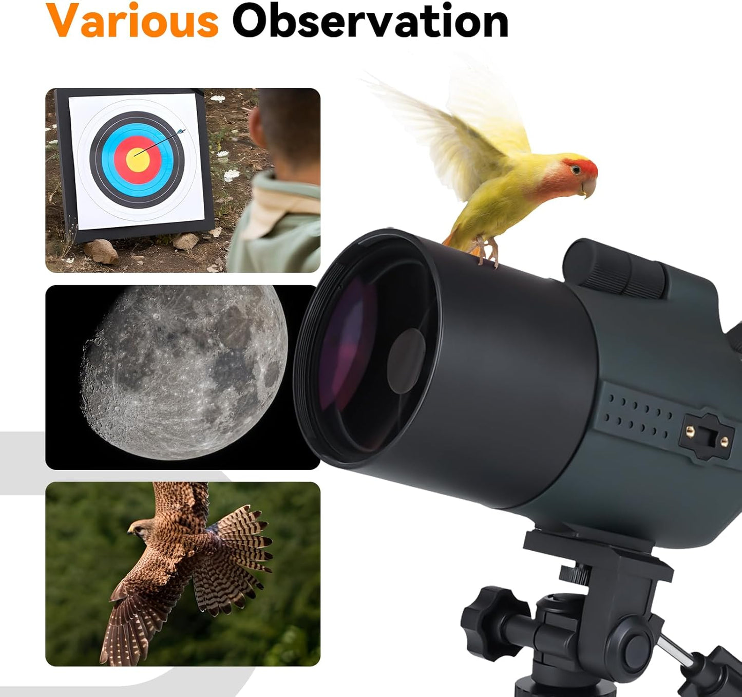 SVBONY SV41Pro 80mm Mak Spotting Scope, Compact Spotter Scope, 28-84X Zoom Eyepiece, 1.8kg Lightweight, Spotting Scopes for Target Shooting, Bird Watching, for Both Terrestrial and Astronomical Use