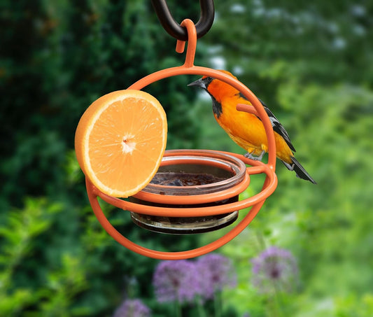 Monarch Abode Hanging Bird Feeder for Outdoors – Hanging Oriole Birdfe