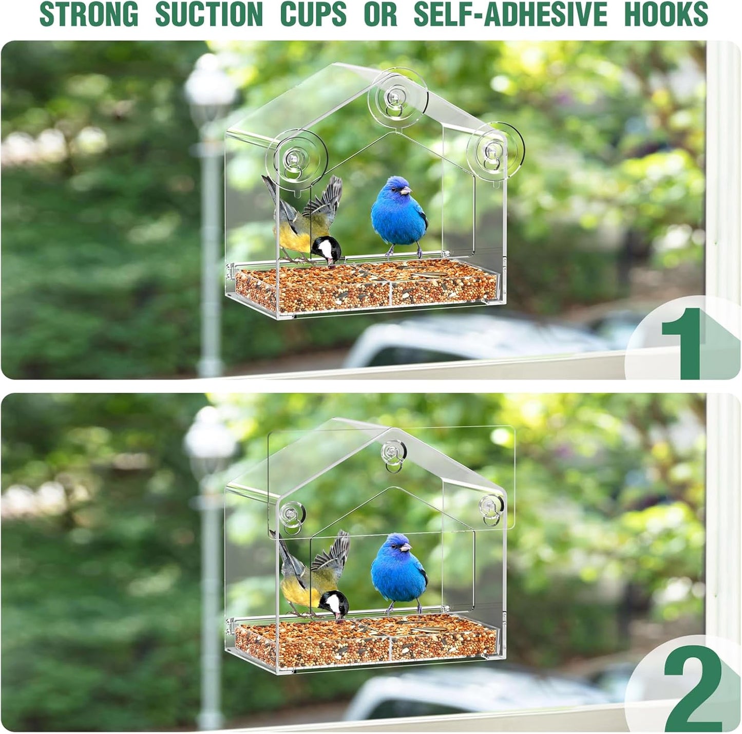 Window Bird Feeder with Strong Suction Cup and Self-Adhesive, Clear Window Birdfeeder for Larger Viewing, Squirrel-Proof Window Bird for Cats Outdoors