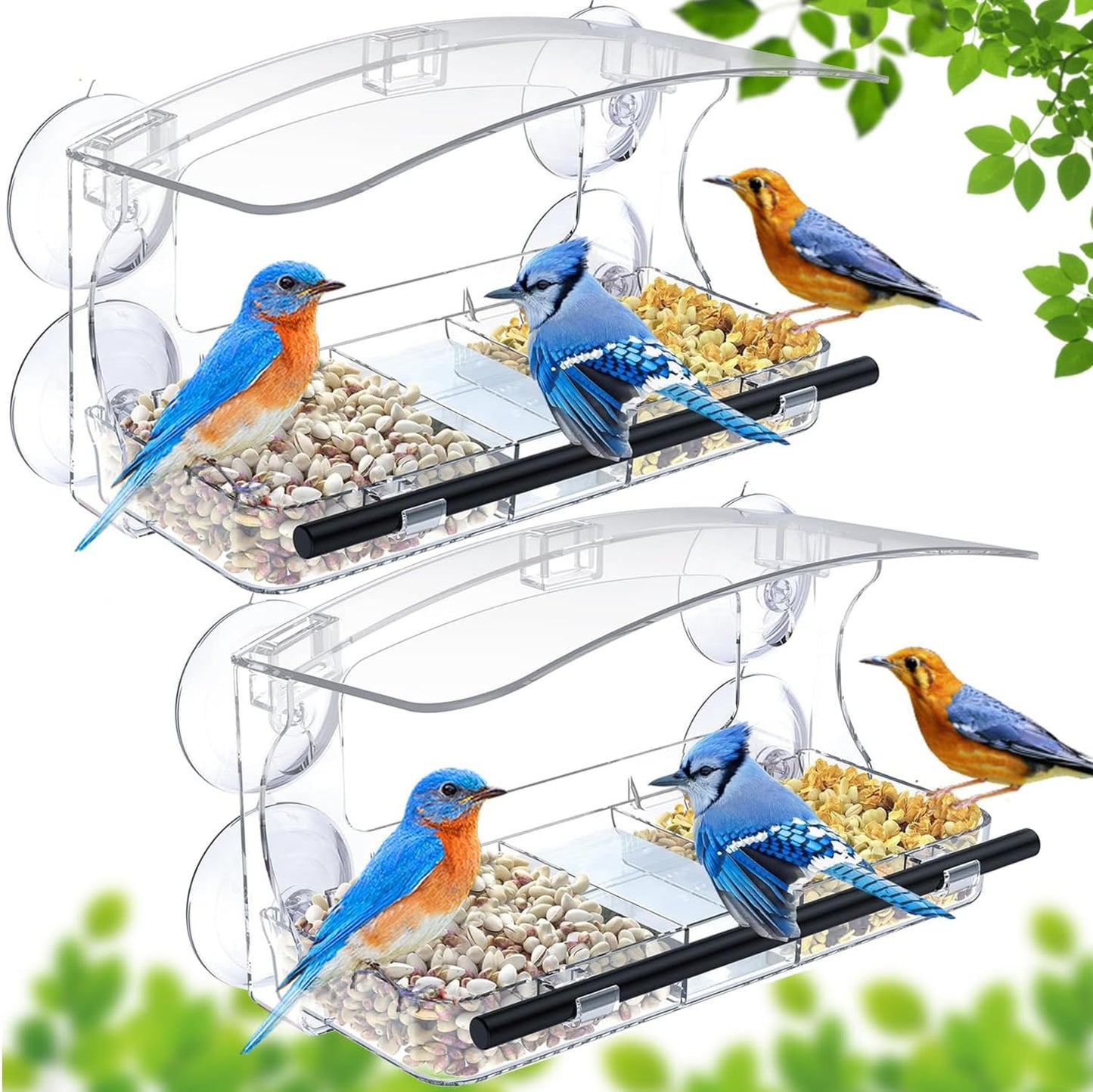Window Bird Feeder 2 Pack with Strong Suction Cups, Clear for Viewing, Bird Feeders for Outdoors with Drain Holes