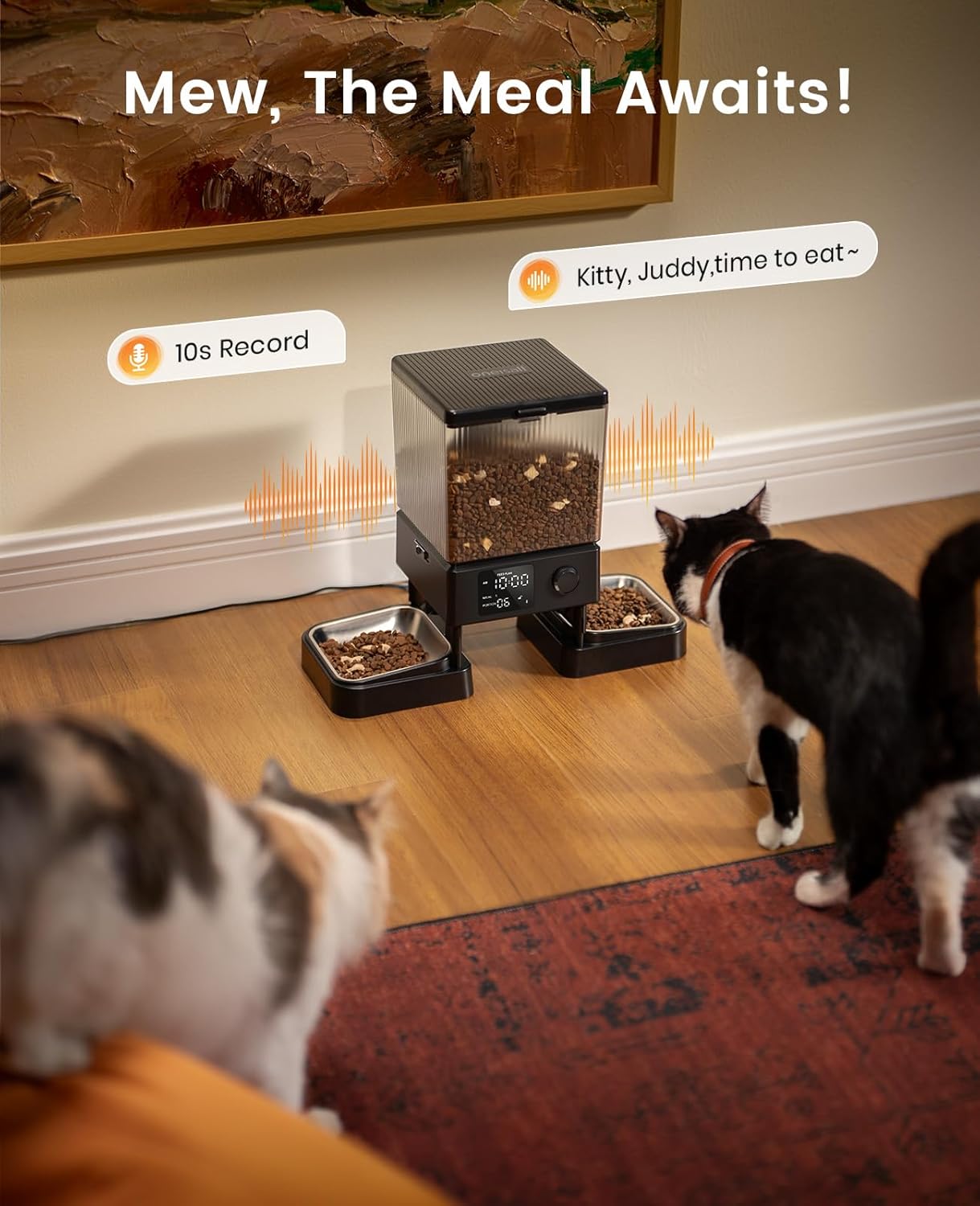 oneisall Automatic Cat Feeder for 2 Cats, 20 Cups/5L Automatic Cat Foo