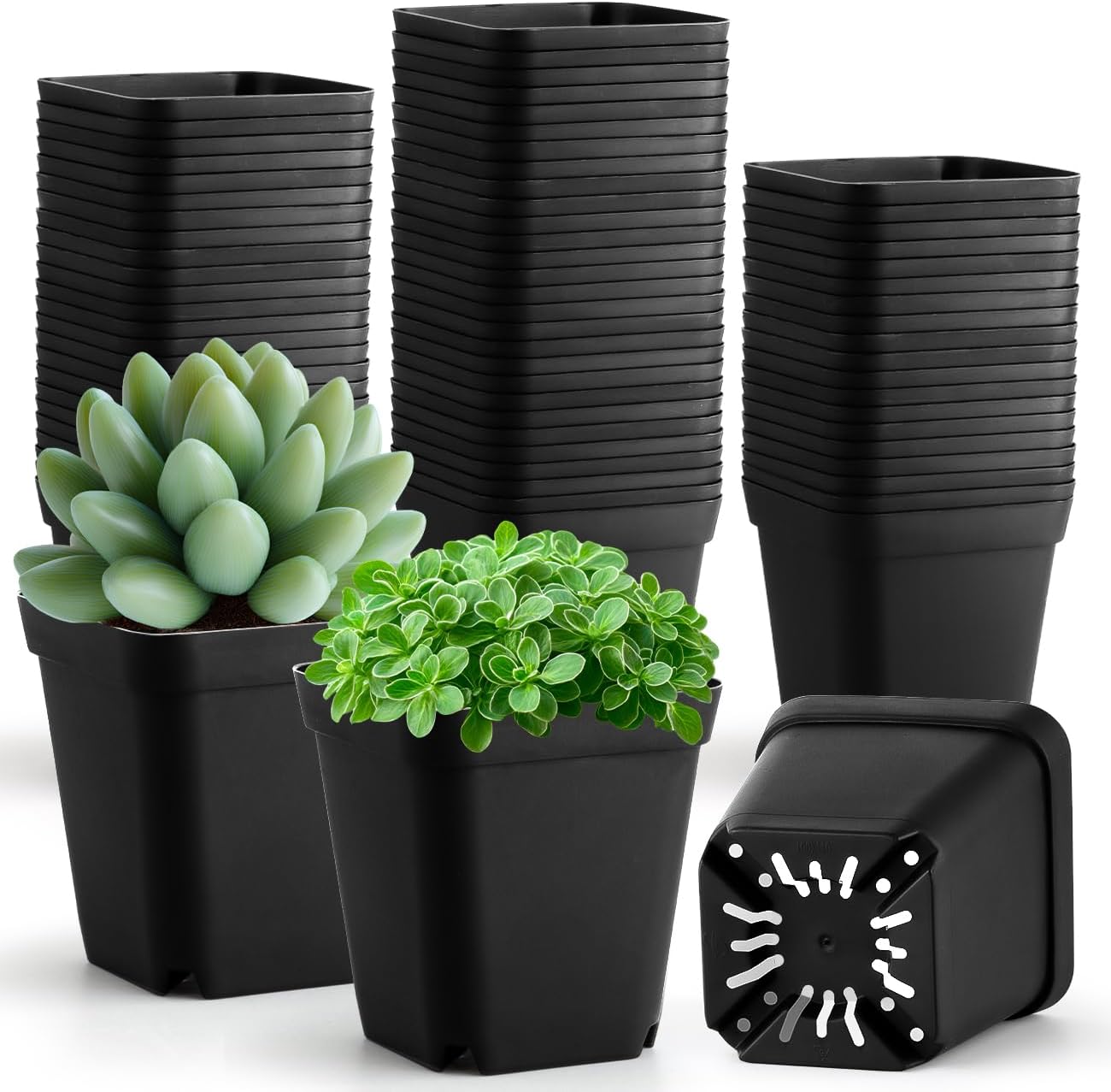 100 Pack Plant Nursery Pots 3.15 Inch, Durable Square Seedling Pots wi