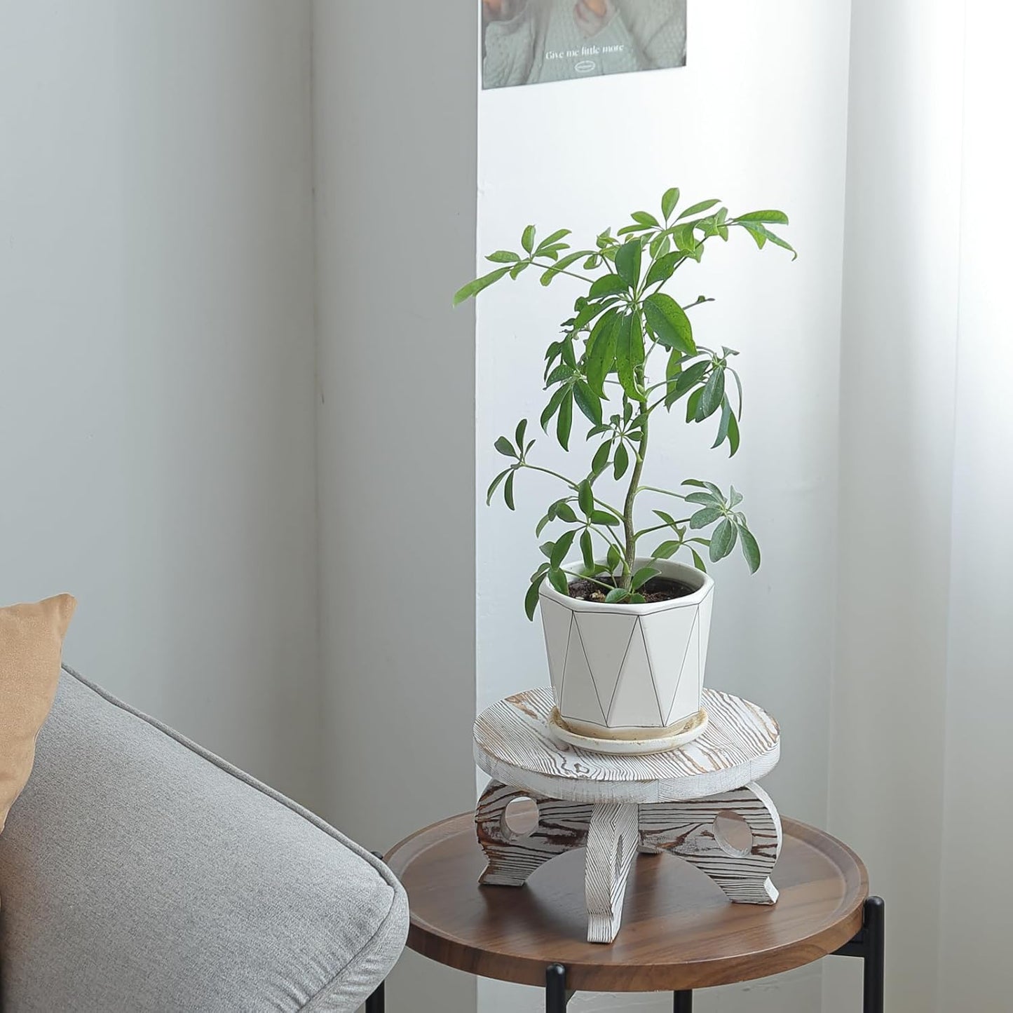White Wooden Plant Stands Indoor Riser Round Display Stands Farmhouse Display Stool Flower Holder Pedestal Board Pine