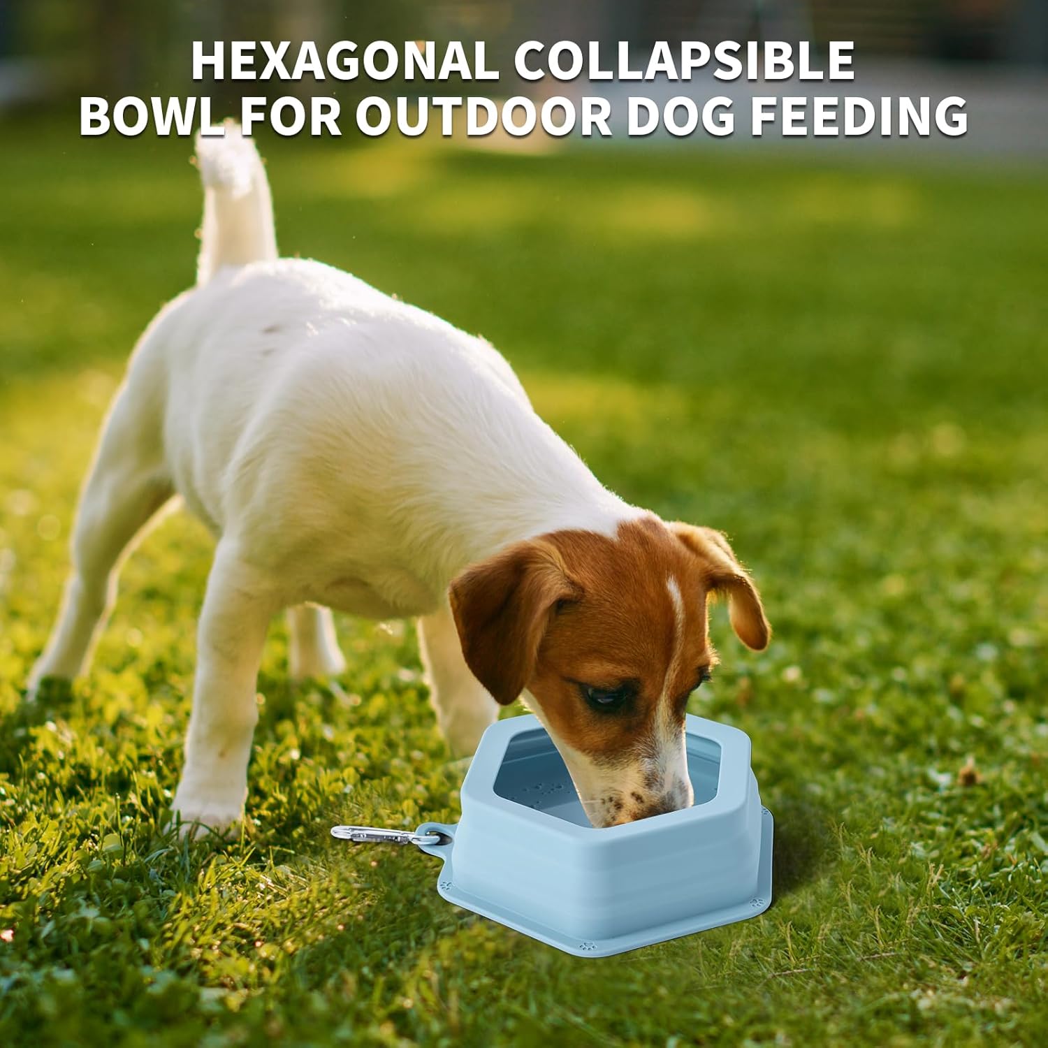 No Splash Dog Travel Bowls for Cars, Spill Proof Collapsible Dogs Wate