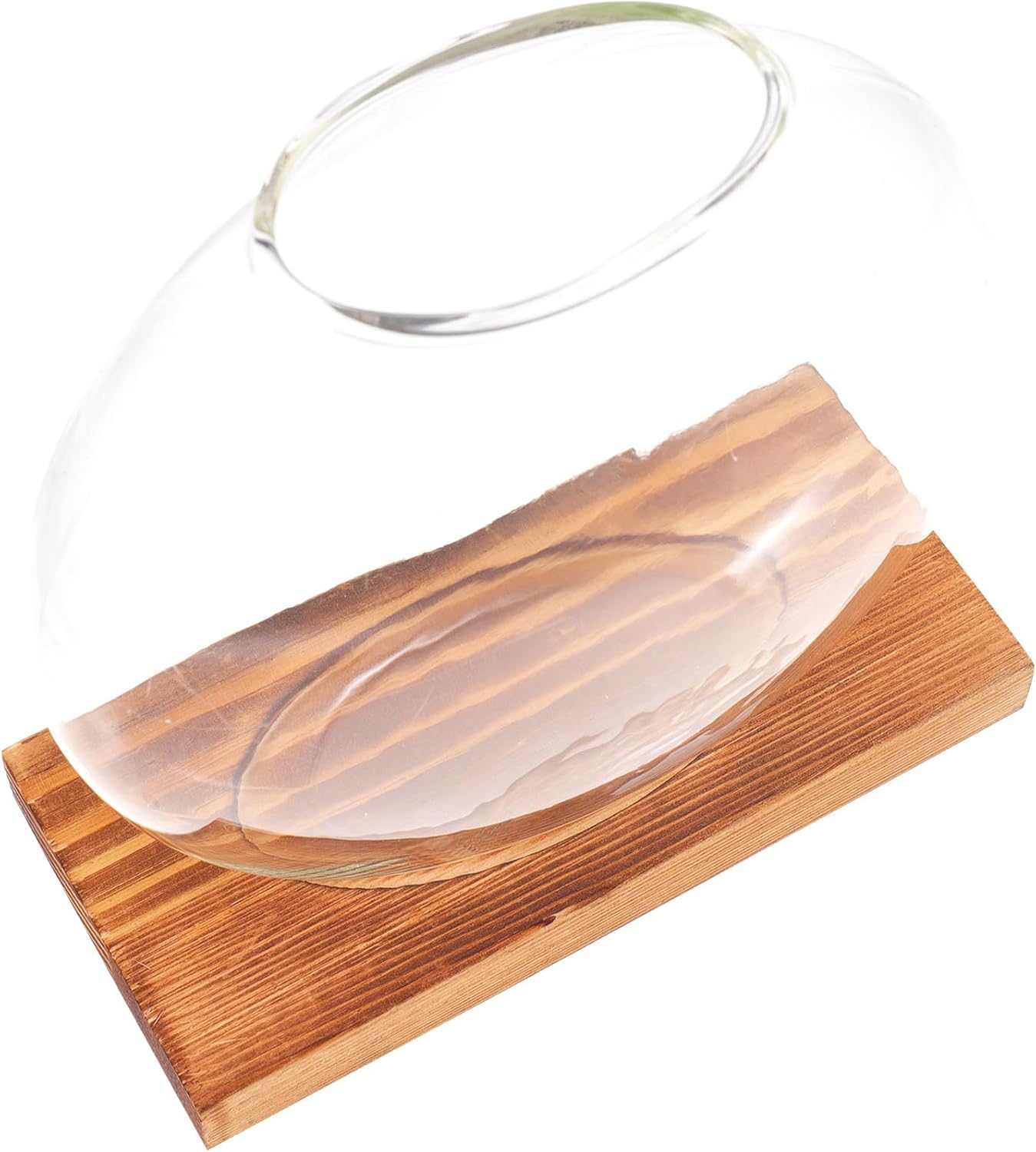 Milisten Wood Base Glass Hydroponic Green Pothos Planter Vase Desktop 