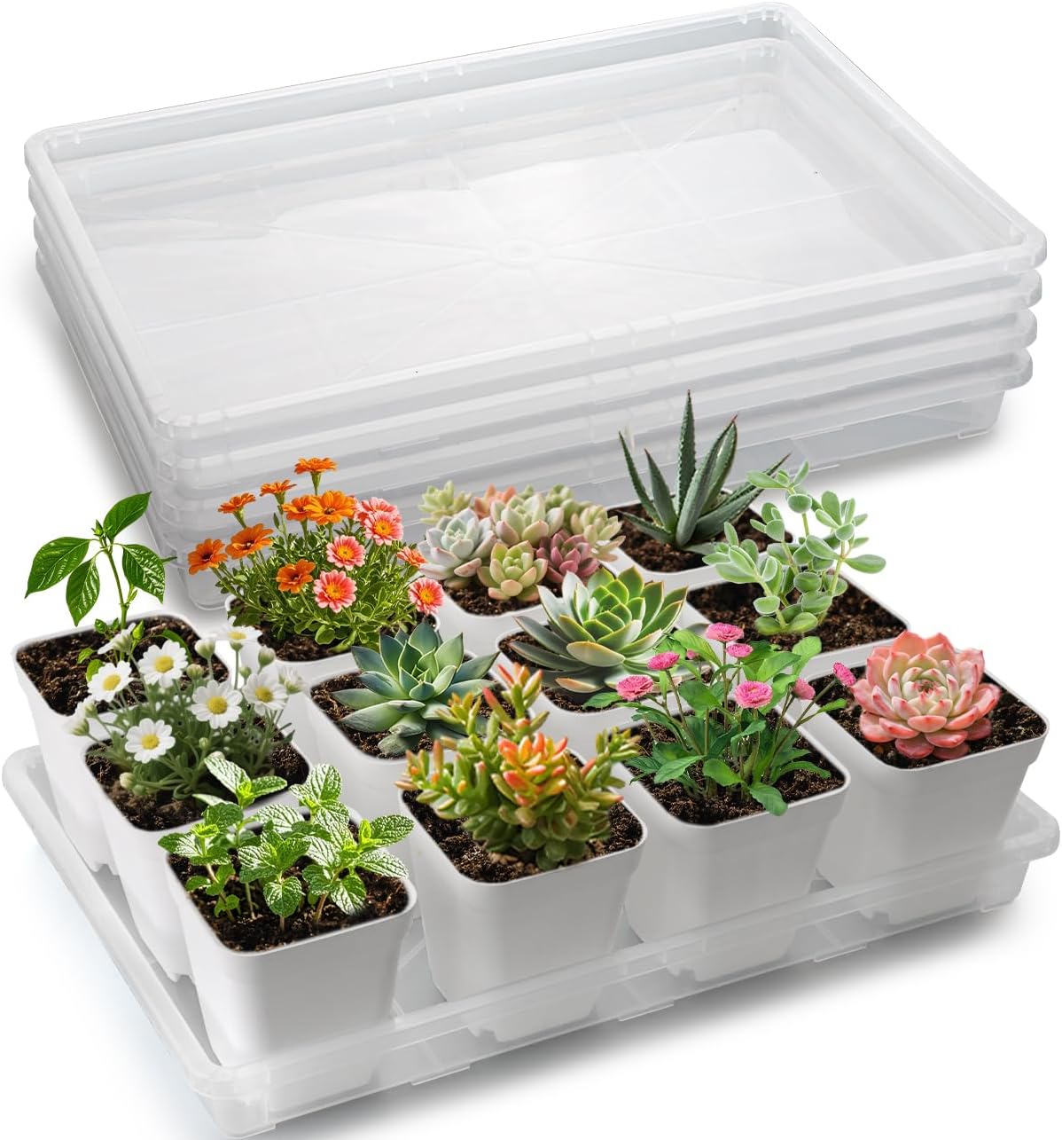 Clear Seed Starter Trays 5 Pack(17"x11"x2"), Reusable Plastic Carrying