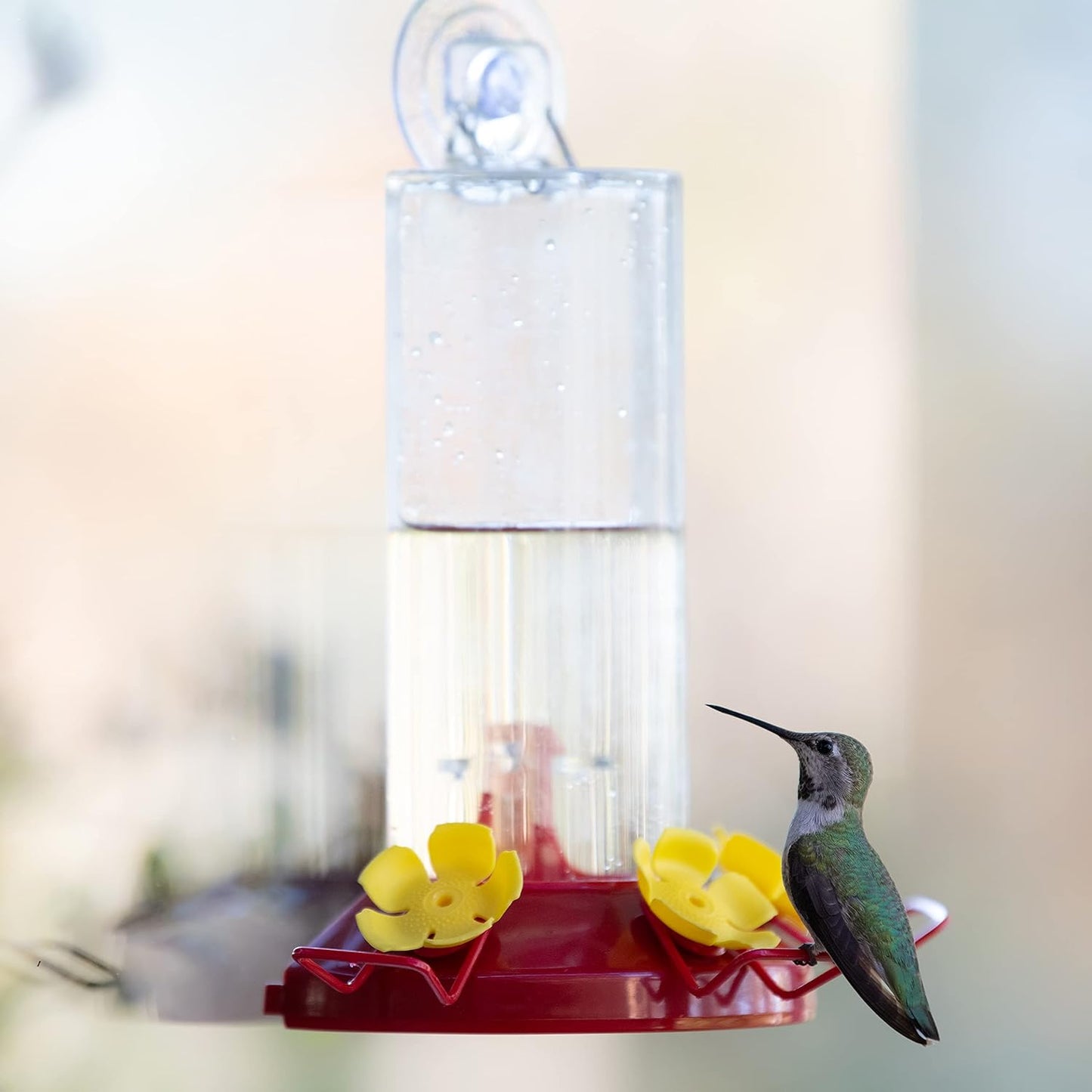 Perky-Pet Plastic Window Mount Hummingbird Feeder with Perches - 8 oz 