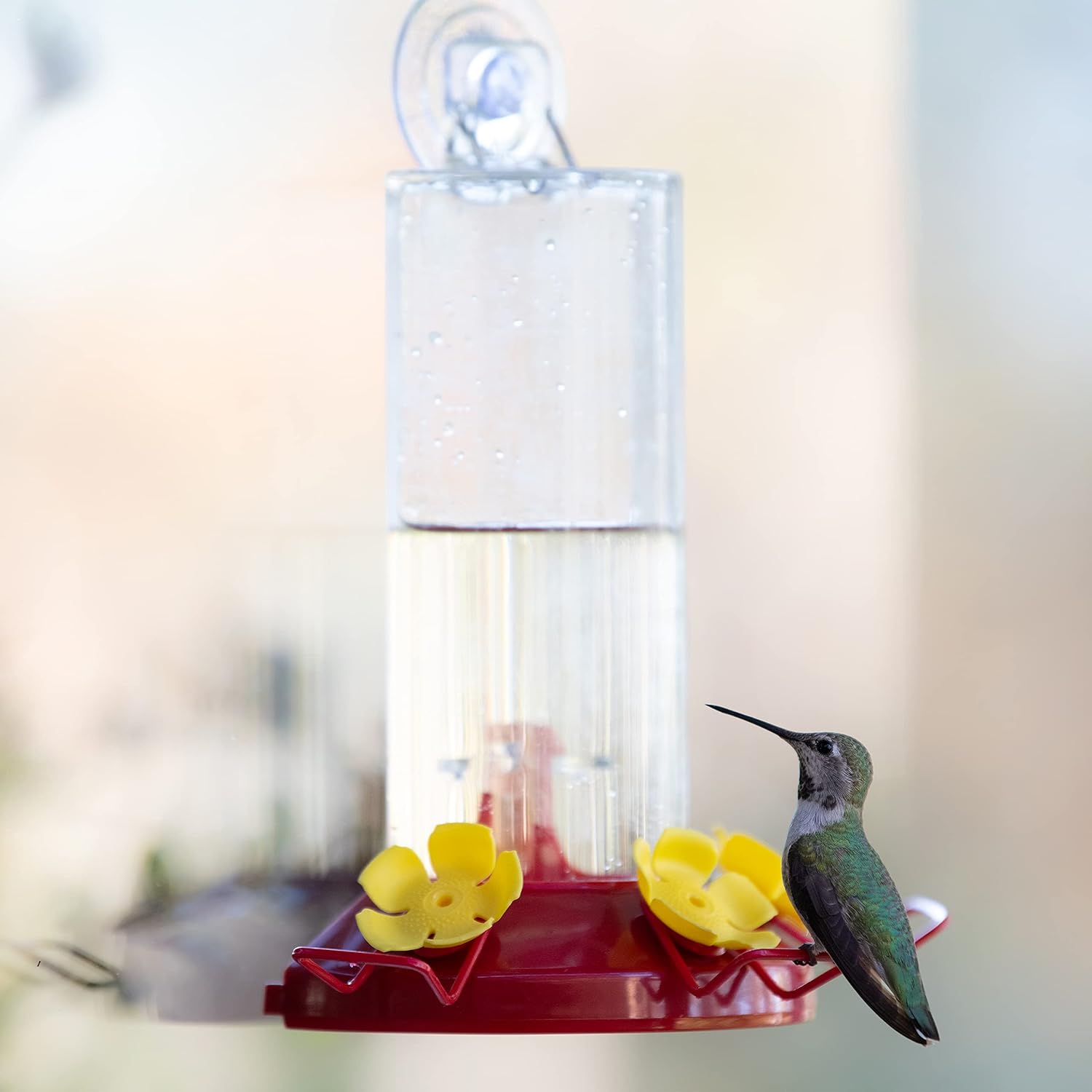 Perky-Pet Plastic Window Mount Hummingbird Feeder with Perches - 8 oz 