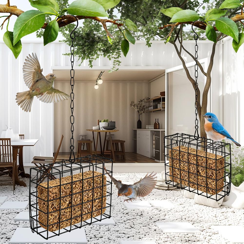 2Pcs Outdoor Suet Cage Bird Feeder, Suets Hanging Bird Feeder fo Attracting Birds, Single Suet Cake Capacity, Fruit Holder Style for Garden Yard Outside Hanging
