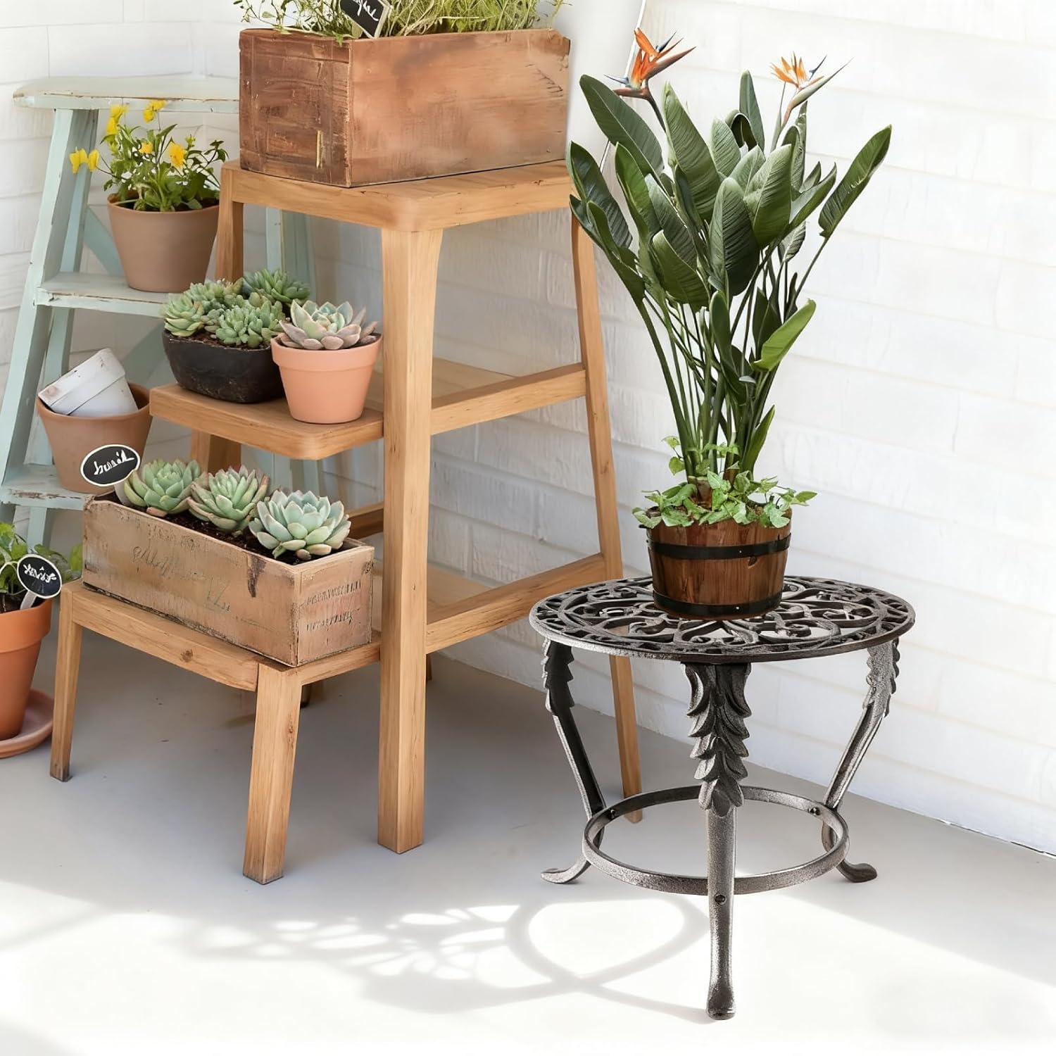 Notakia Plant Stand Indoor Outdoor Clearance Heavy Duty Cast Iron Plan