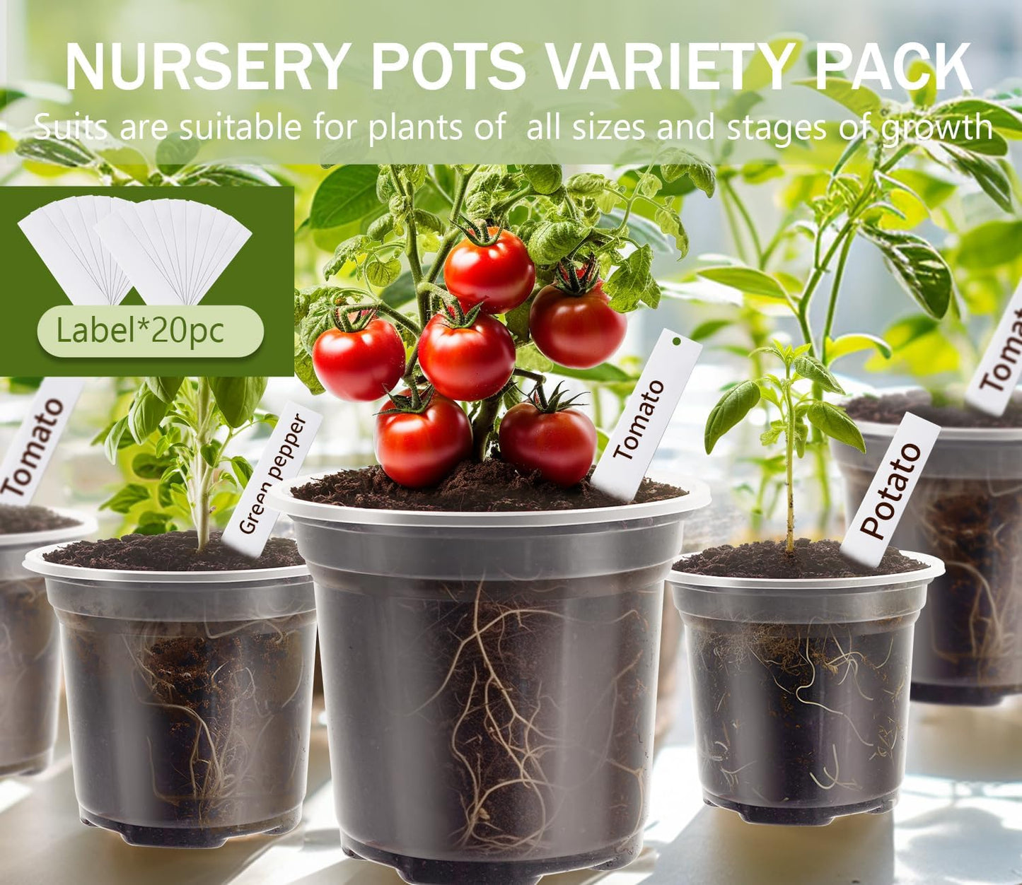 30 Packs Clear Nursery Pots for Plants, 3.5/4/5 Inch High Transparency