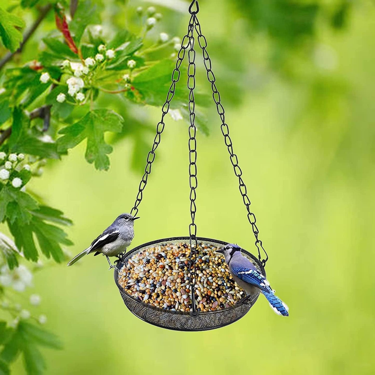 Hanging Bird Feeder, Birdfeeder Hanging for Garden Yard Outside Hangin