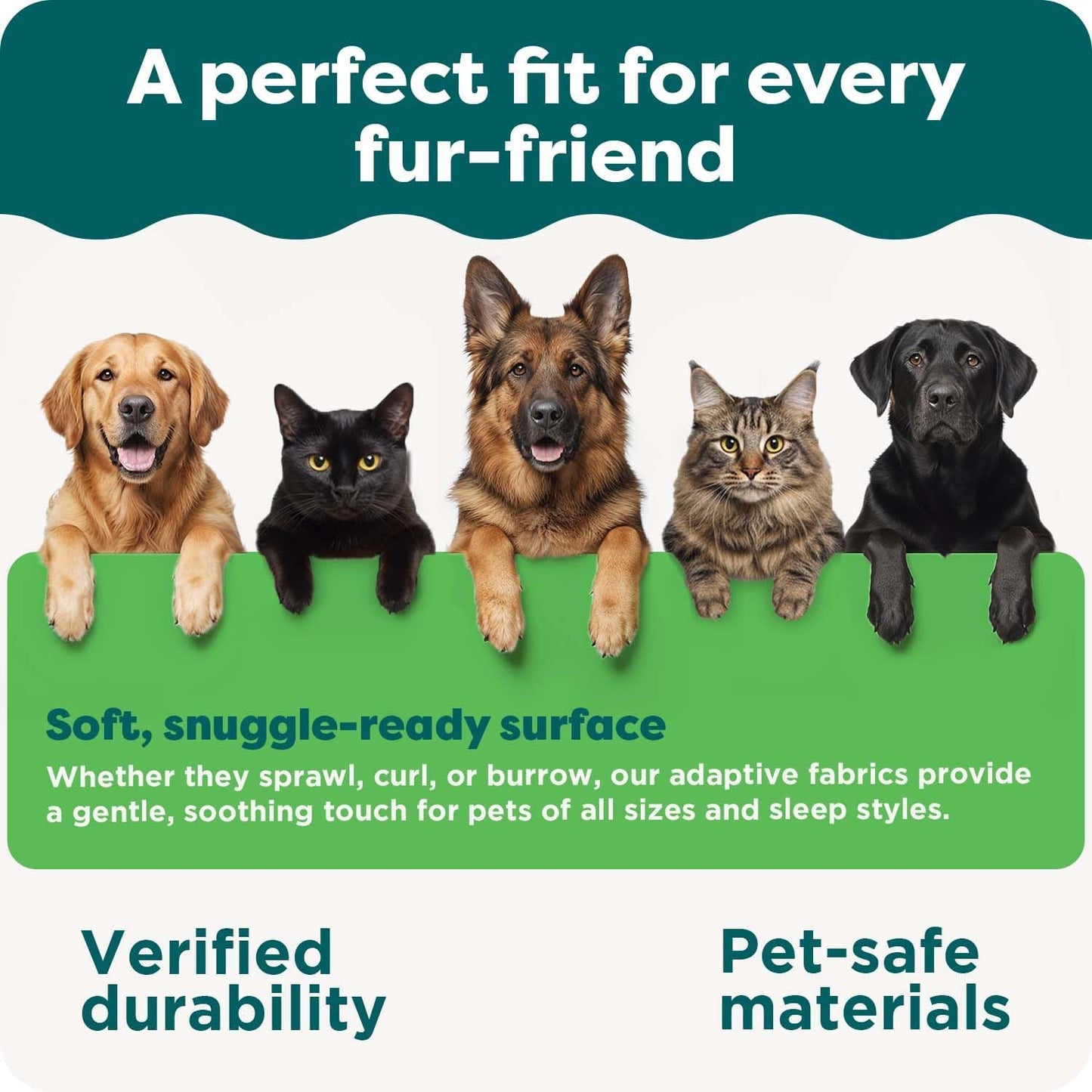 Furhaven Dog Bed for Small Dogs & Indoor Cats, 100% Washable, Sized to