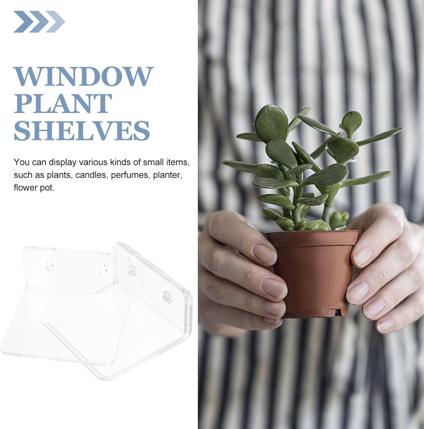Wall Planter Display Rack Acrylic Floating Shelf Adhesive Small Window