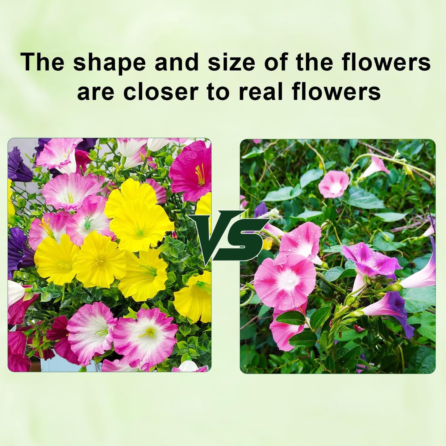 12 Bundles Artificial Flowers for Outdoors UV Resistant Morning Glory Artificial Flowers Fake Petunias for Home Front Porch Garden Patio Window Box Outside Indoor Planter Decor (4 Colors)