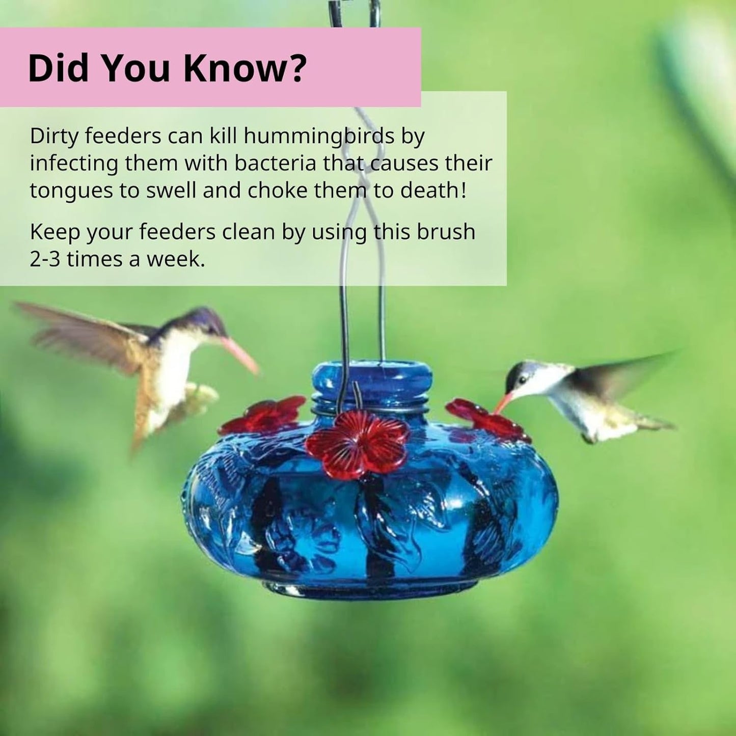 Hummingbird Feeder Cleaning Brush, 14" x 1.7" Dual-Purpose Headed Hummingbird Cleaning Brush, Diswasher Safe Bristle, Removes Residue on Nectar Bottle, Nozzle, Narrow Feeding Socket by FryOilSaver Co.