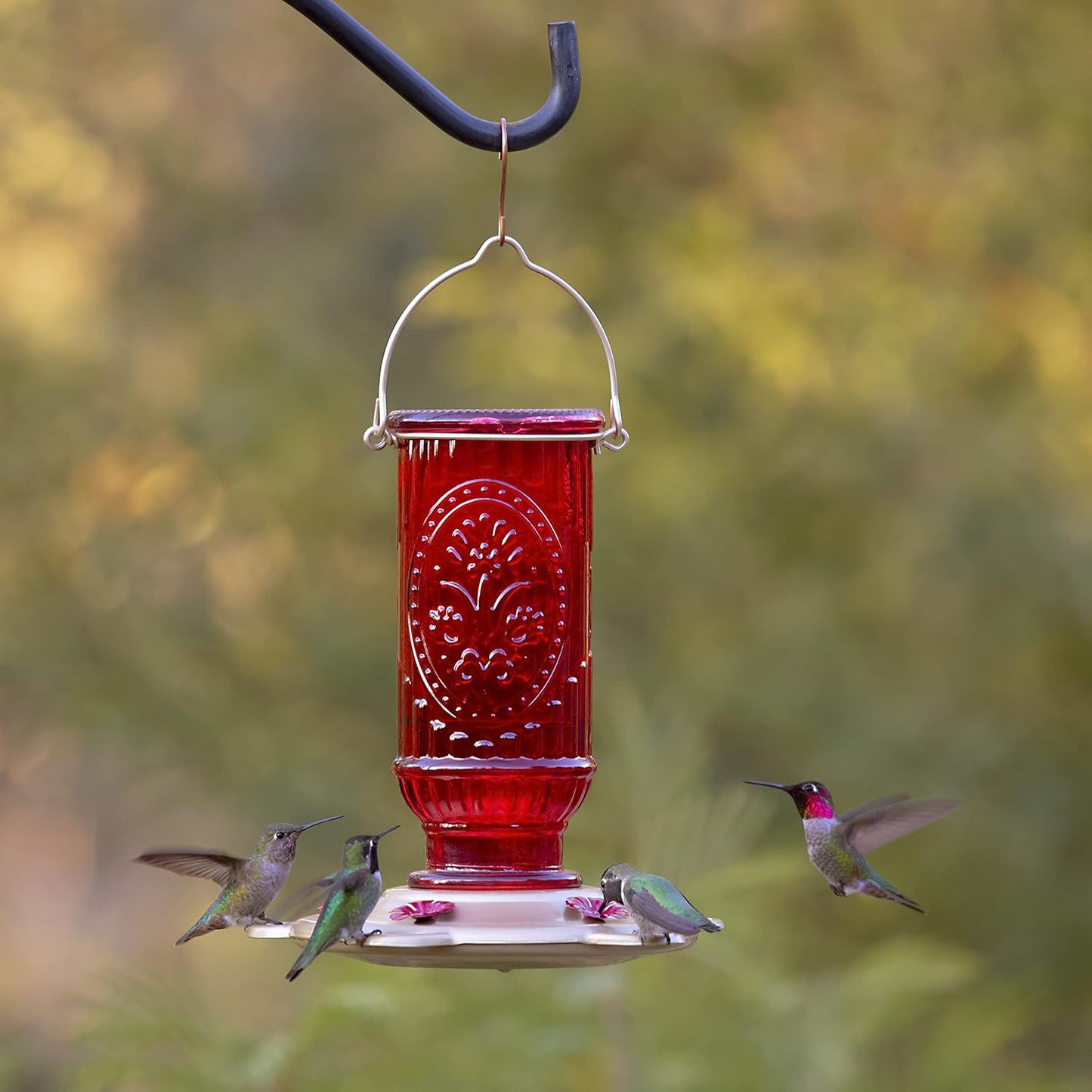 More Birds Red Vintage Hummingbird Feeder, Antique Glass Hummingbird Feeders for Outdoors, 5 Feeding Stations, 20 Ounces