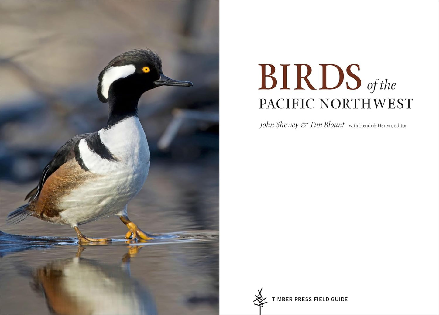 Birds of the Pacific Northwest (A Timber Press Field Guide)
