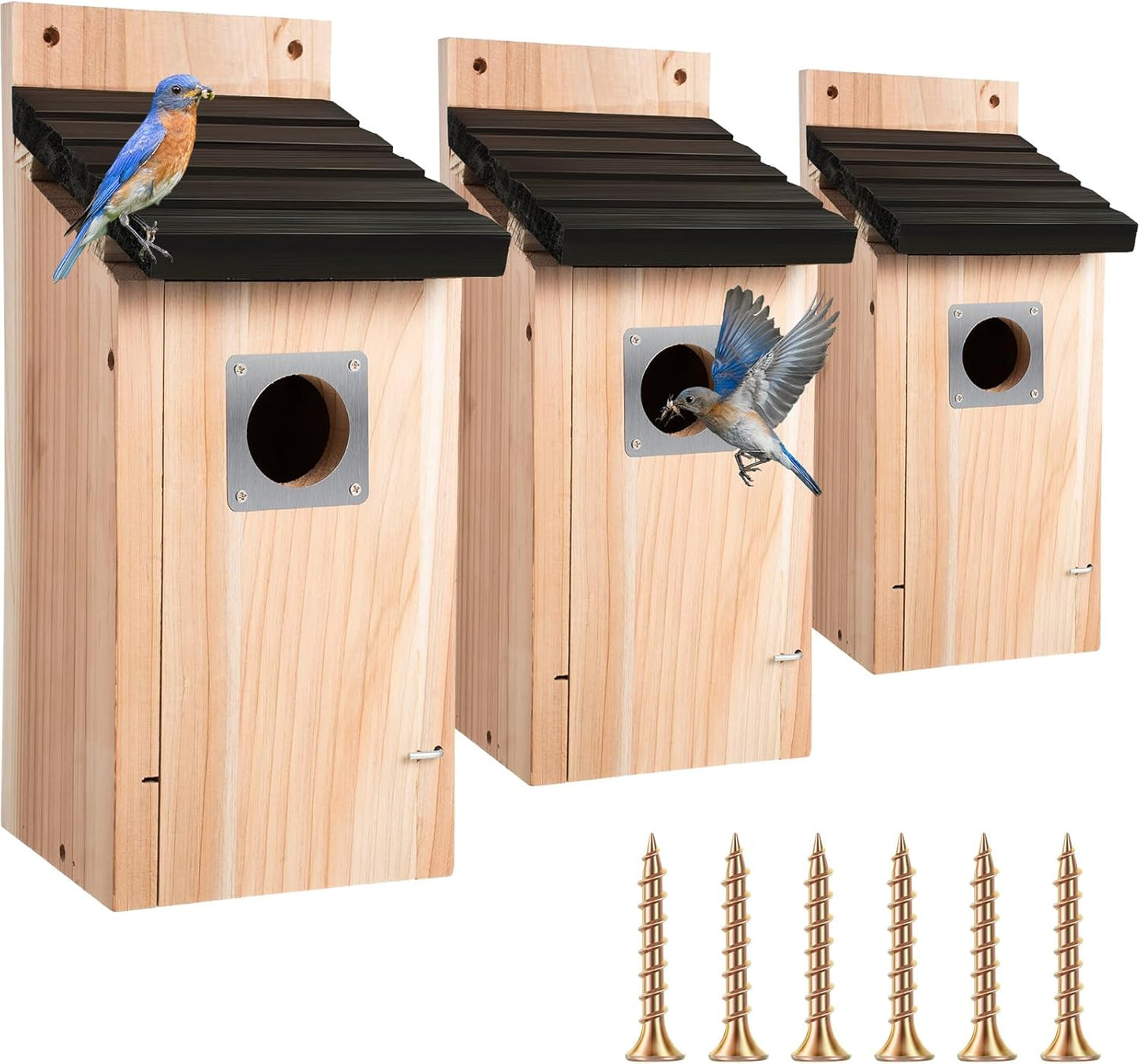 Dreyoo Cedar Bluebird Box Houses for Outside, 1-1/2'' Entrance Hole Wooden Bird Houses with Metal Guard, Secure Latch, Fledgling Grooves, Air Vents for Bluebird Wren Swallow(3 Pack)