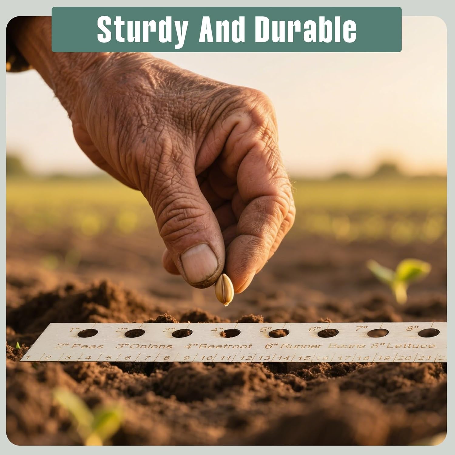 Seed Spacers Planting Tool, Garden Seed Planter Ruler with 2 Wooden St