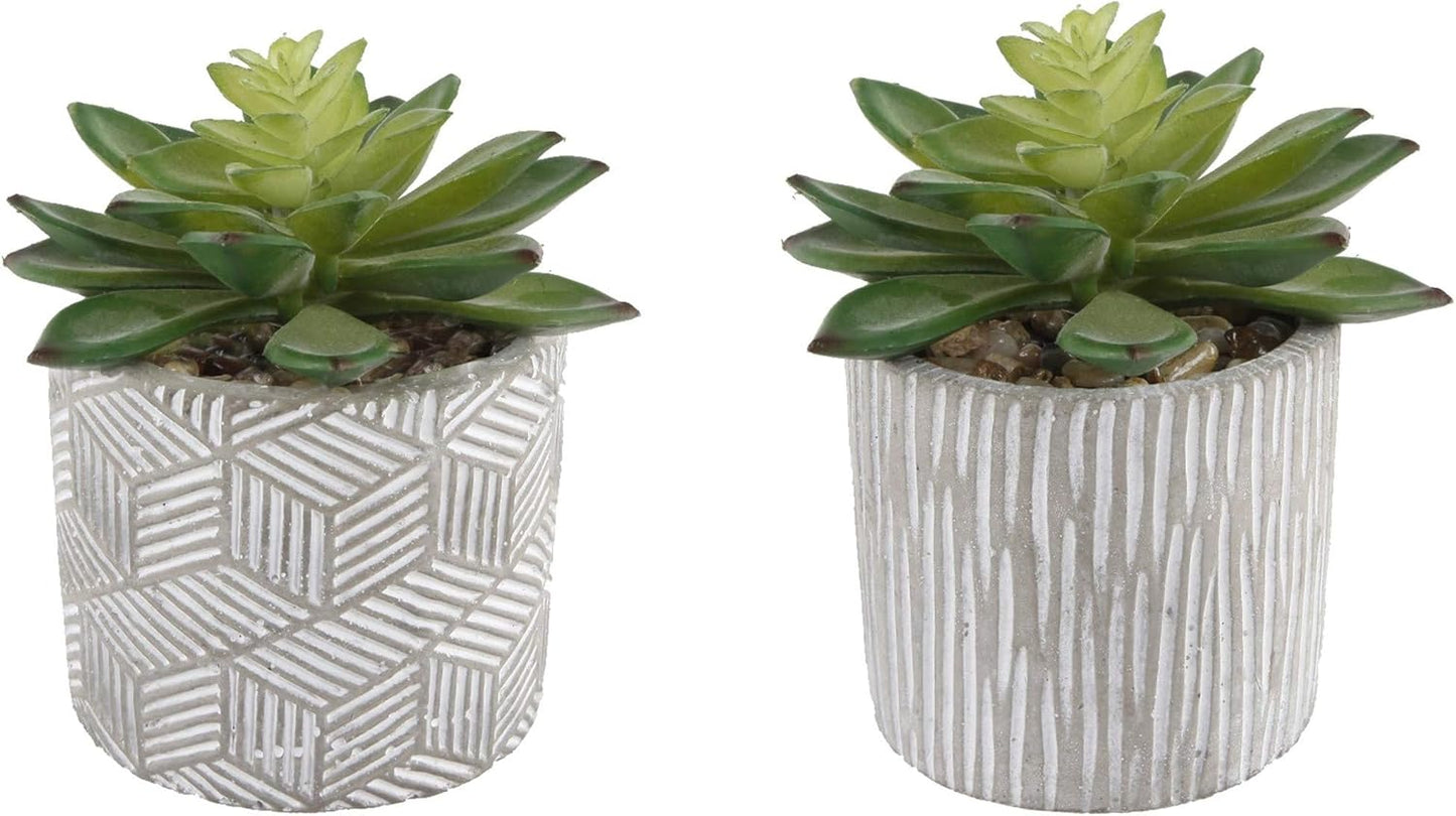 Flora Bunda Mid Century Artificial Plants Cactus Set of 2 Artificial Succulent in 3" Cement Pot Grey Planter, 2 Fake Potted Plants, for Home Office Decorations