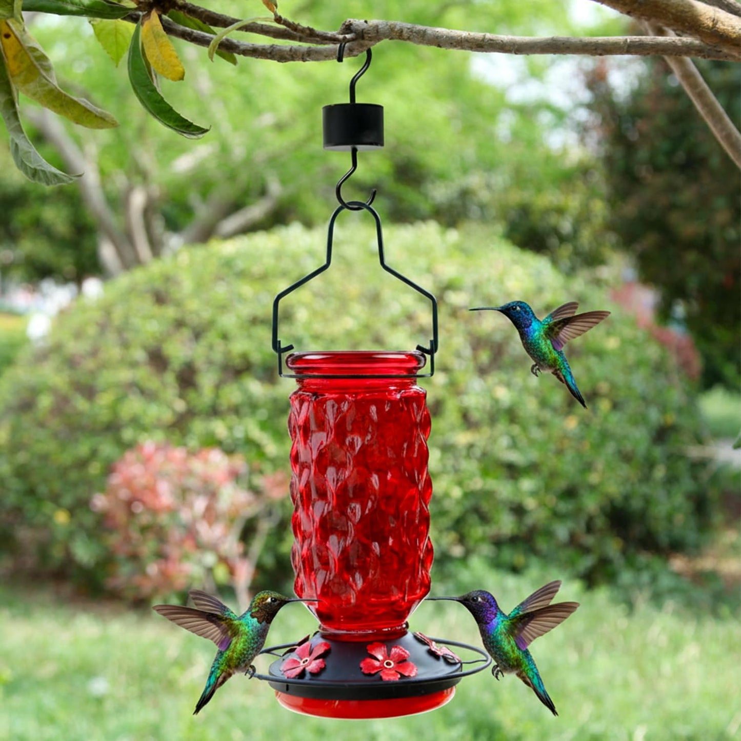 Glass Hummingbird Feeders for Outdoors - 25 OZ Red Humming Bird Hanging Nectar Feeder with 5 Feeding Port Ant Moat for Garden Tree Wildlife Backyard, Birder Ideal Gift for Women Men