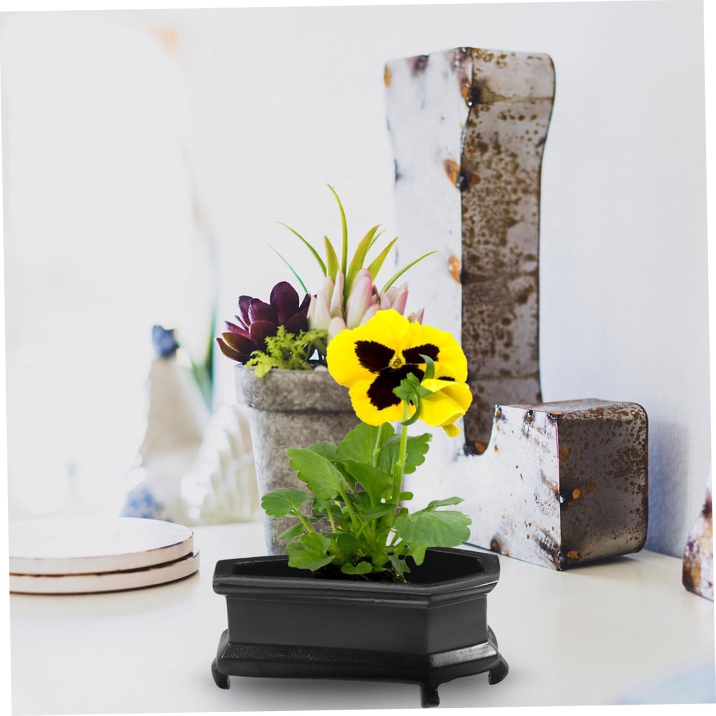 Coffin-Shaped Decorative Planter for Plants Vintage Flower Pot for Dec