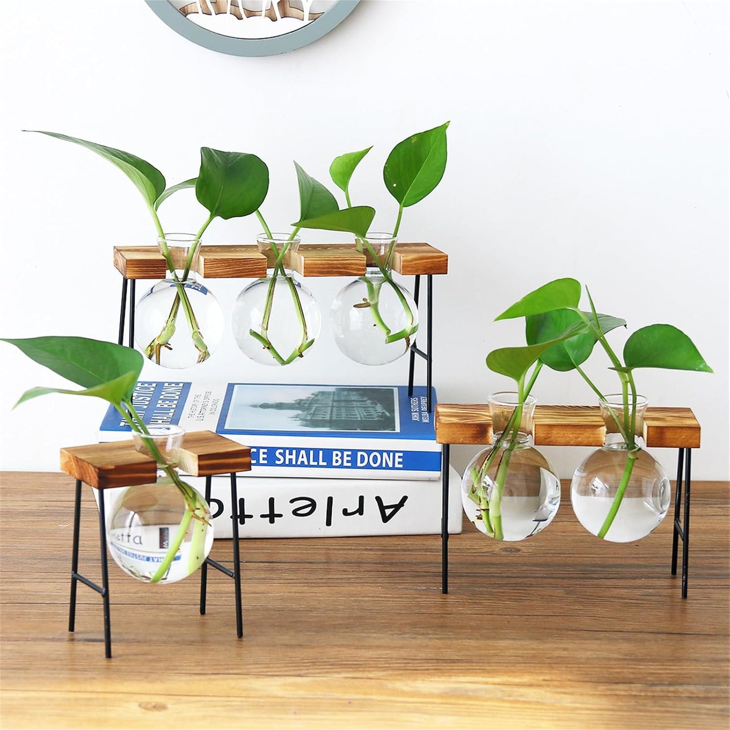 Desktops Plant Terrariums Glass Bulb Vase Plant Propagations Jar with Wooden Stand Flower Planter for Hydroponics Plant