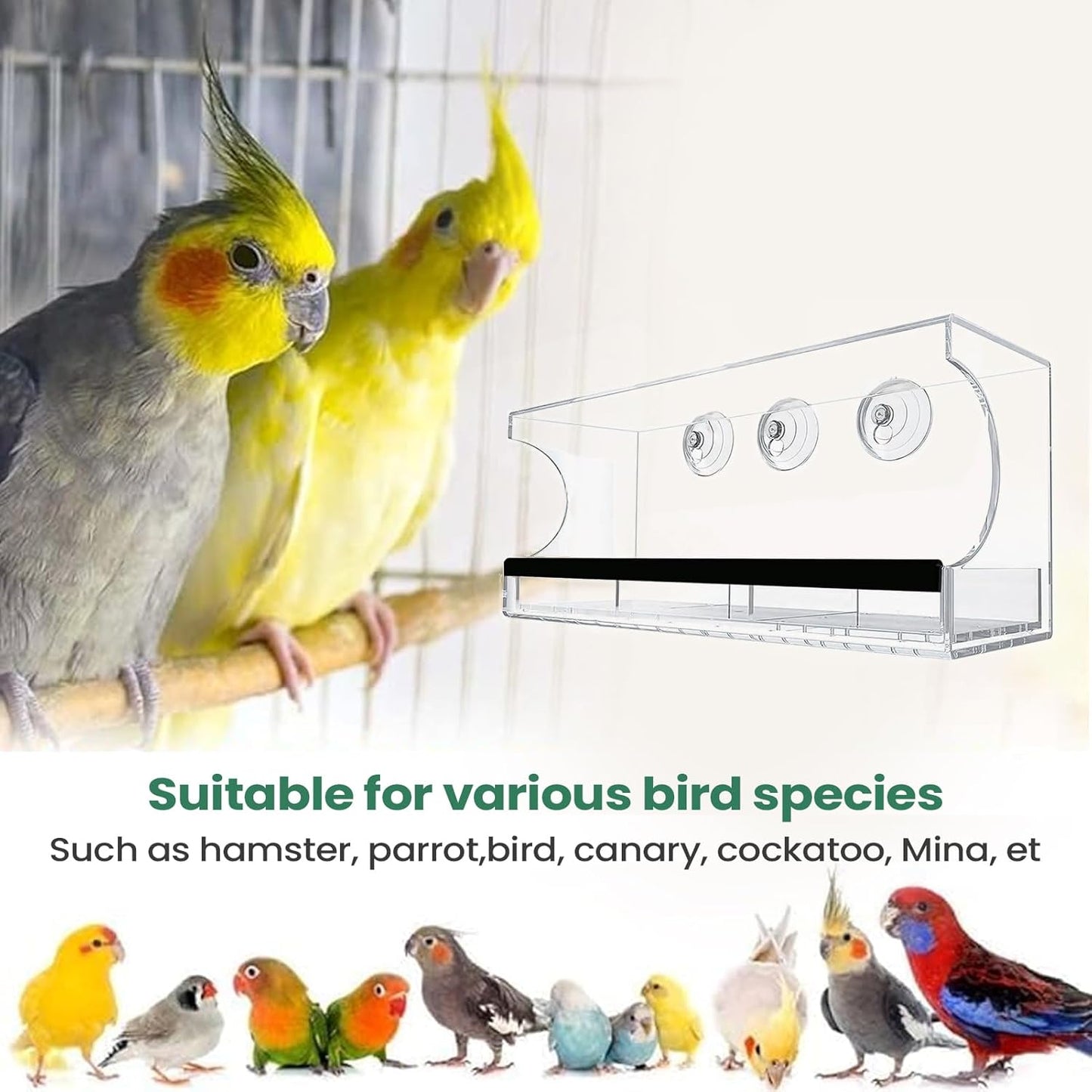 Bird Feeder Suction Cup Window – Spill-Proof Food Box | Acrylic Detachable Clear Window Bird Feeder for Indoor Viewing, Deck, Patio, Balcony, Kids' Observation, Garden, Home, Birds