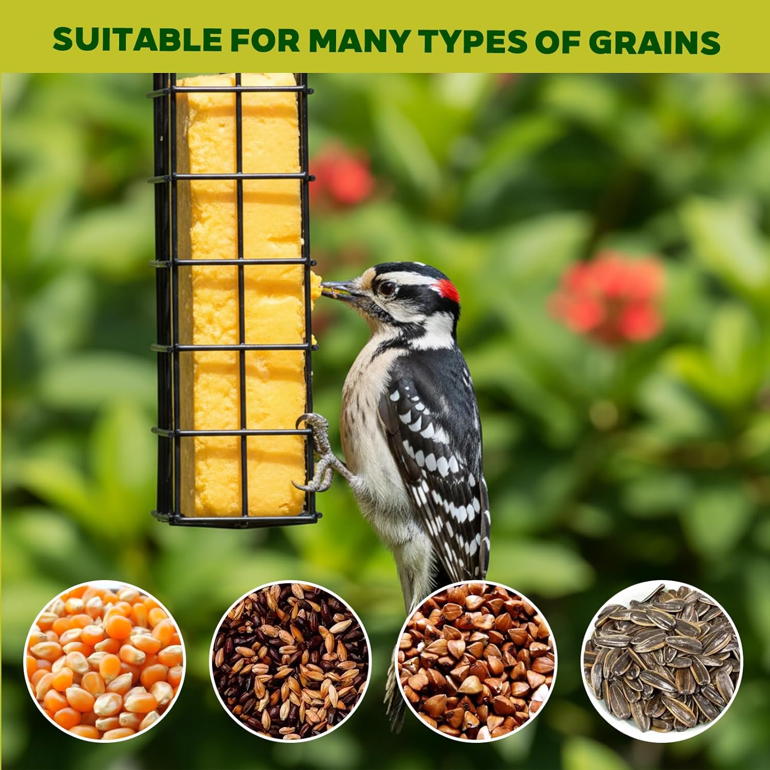 6 Pack Suet Bird Feeders, Outdoor Hanging Metal Cage for Wild Birds, S