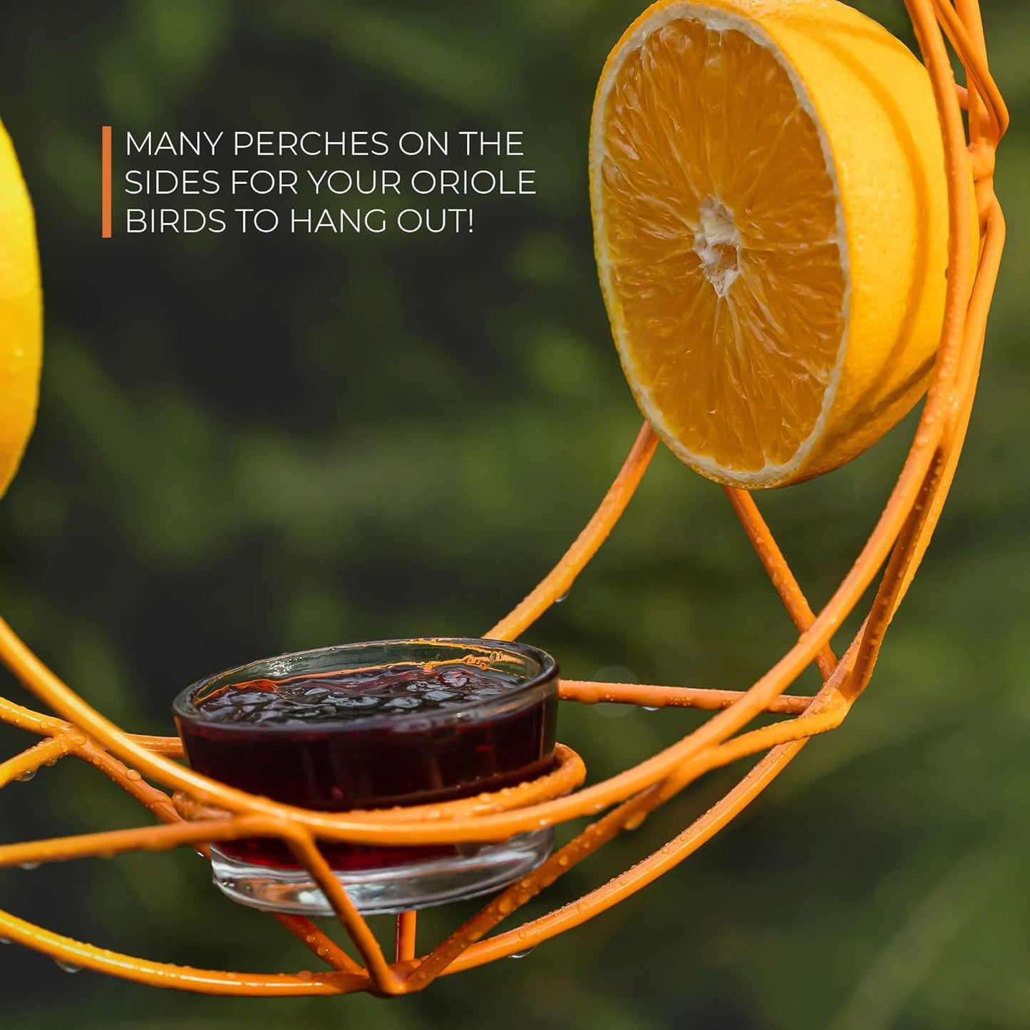 MEKKAPRO Sun Baltimore Oriole Feeder for Outdoors, Jelly and Orange Me