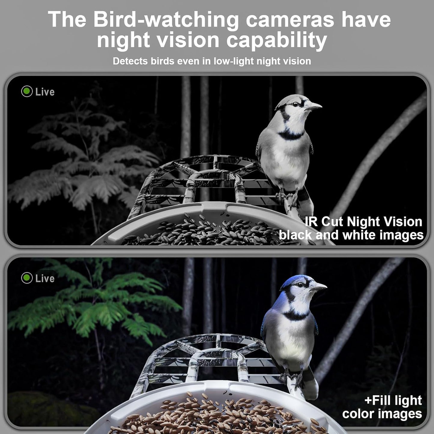 DCT Smart Bird Feeder with Camera: Christmas Gift & Stocking Stuffer for the Whole Family - 1080P HD & AI Identifies 11000+ Birds - Perfect Discovery Gift for Grandparents Parents & Kids Ages 2-12