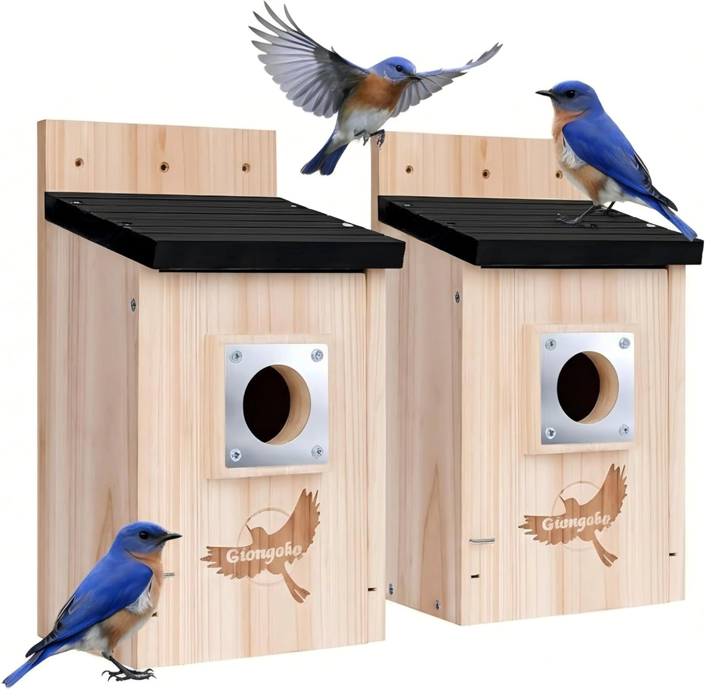 Gtongoko 2 Pack Bird Houses for Outside, Bluebird Nesting Box with Metal Predator Guard, Wooden Birdhouse Kit for Chickadees, Swallows & Finches, Assembly Required