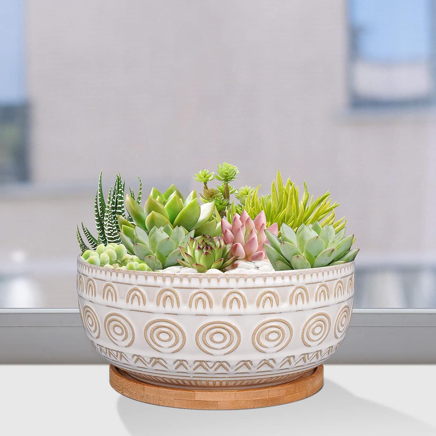 8 Inch Ceramic Succulent Planter Pot with Drainage Hole and Saucer Rou