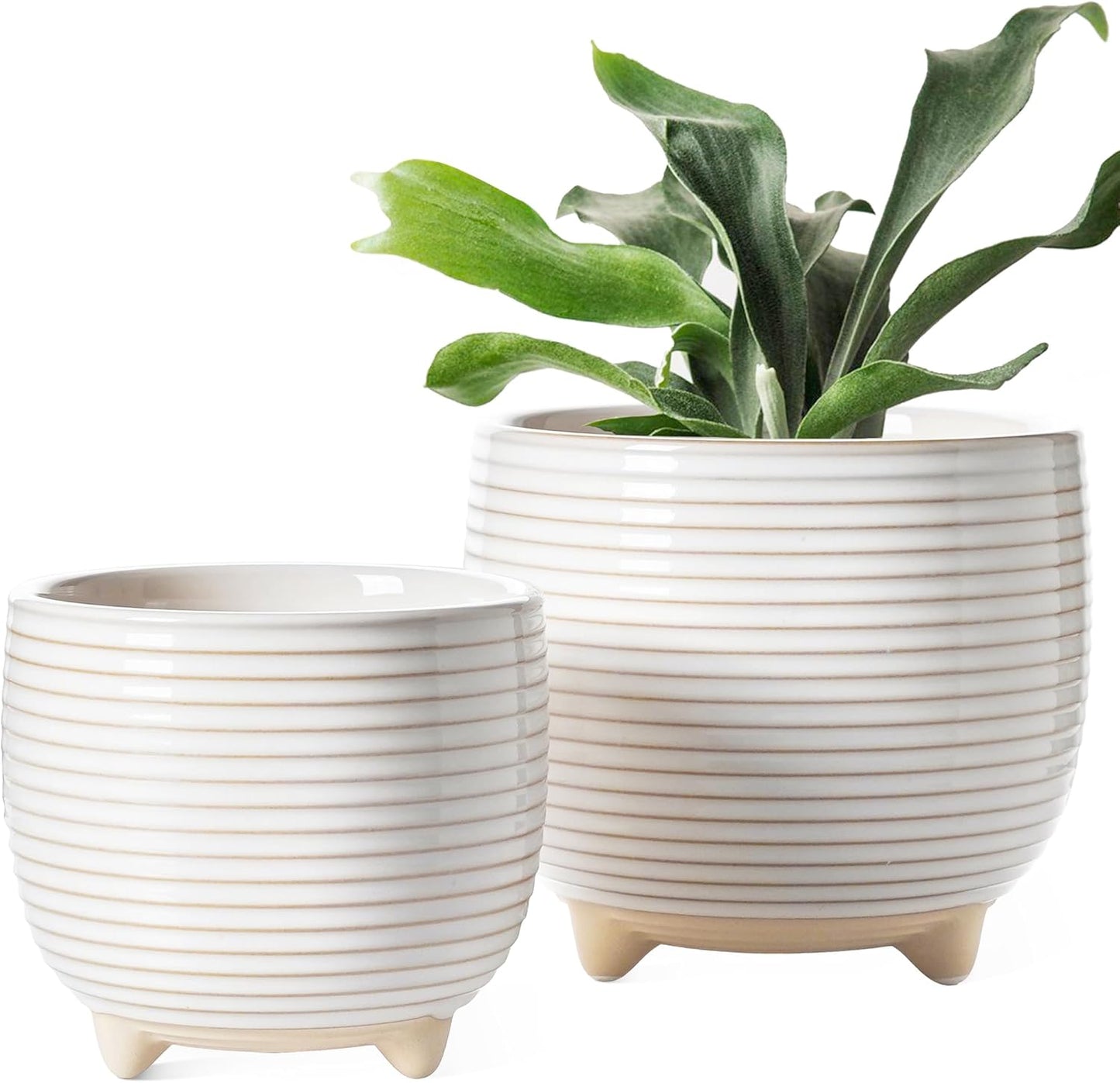 LE TAUCI Ceramic Plant Pots, 5.1 + 6.4 Inch Footed Pots for Plants, Mo