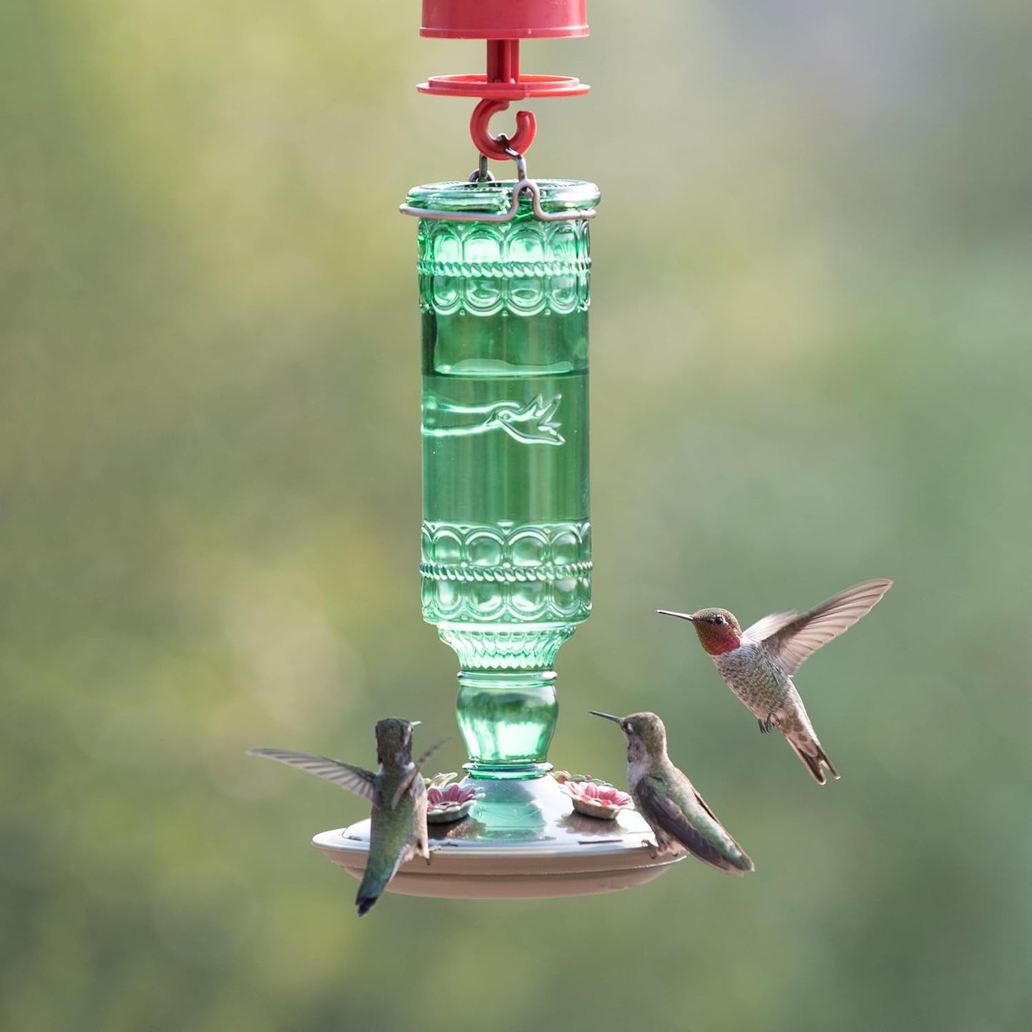 Perky-Pet 8108-1SR Antique Glass Bottle Hummingbird Feeder -10 oz + Perky-Pet 522 Ready-to-Use Clear Hummingbird Nectar in 4 Cans, 16 oz Each Recyclable Aluminum Can