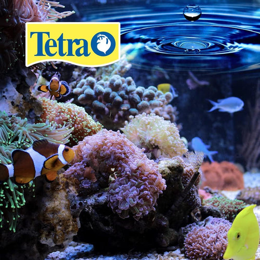 Tetra BettaSafe, Aquarium Water Conditioner For Bettas, 1.69-Ounce, 50