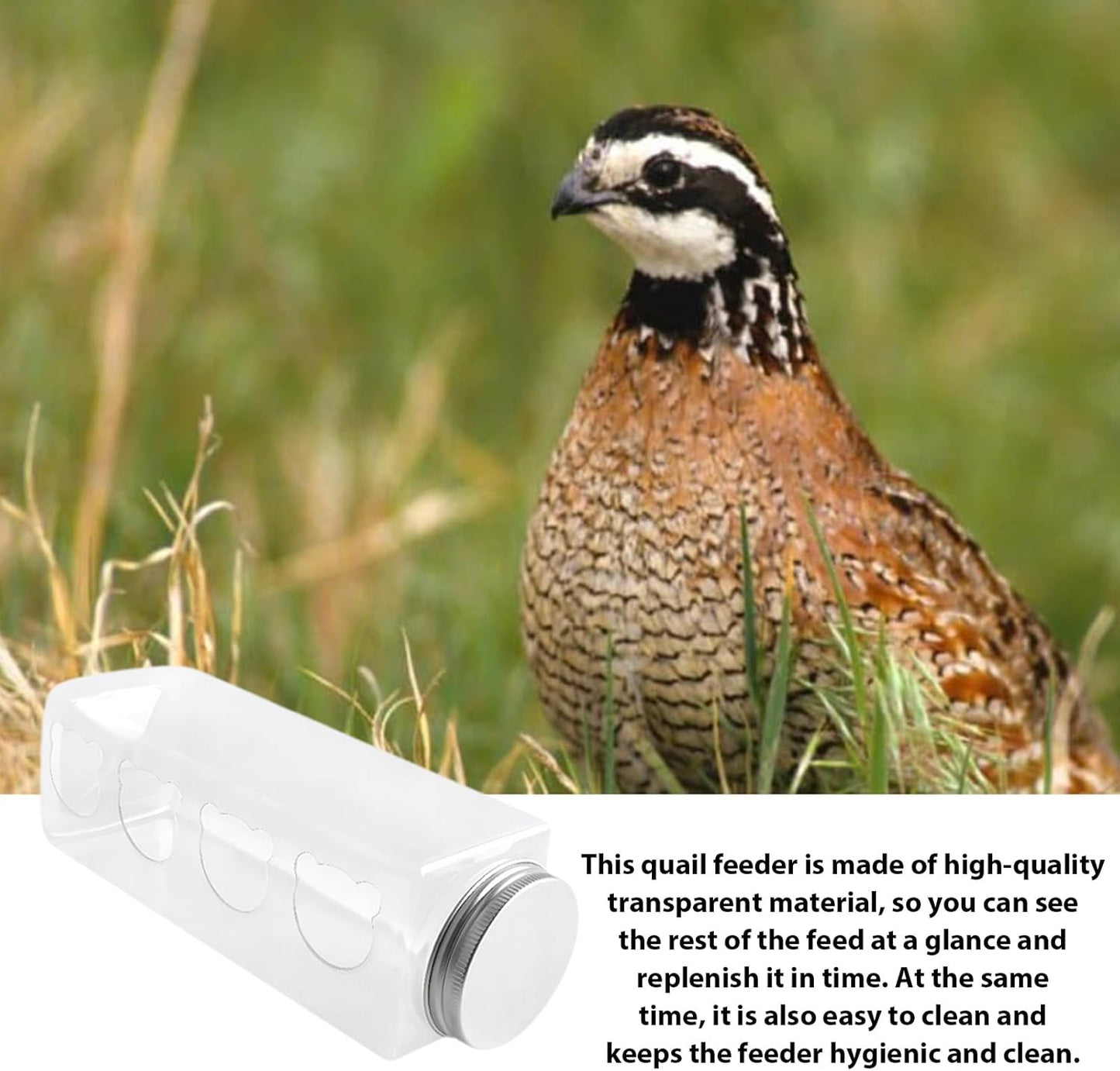 Automatic Birdfeeder Bottle, 17.2x5.5cm Transparent PET Feeder for Quails, No Waste Gravities Feed System, Small Birds, Poultry Care, Cage Hanging Equipment