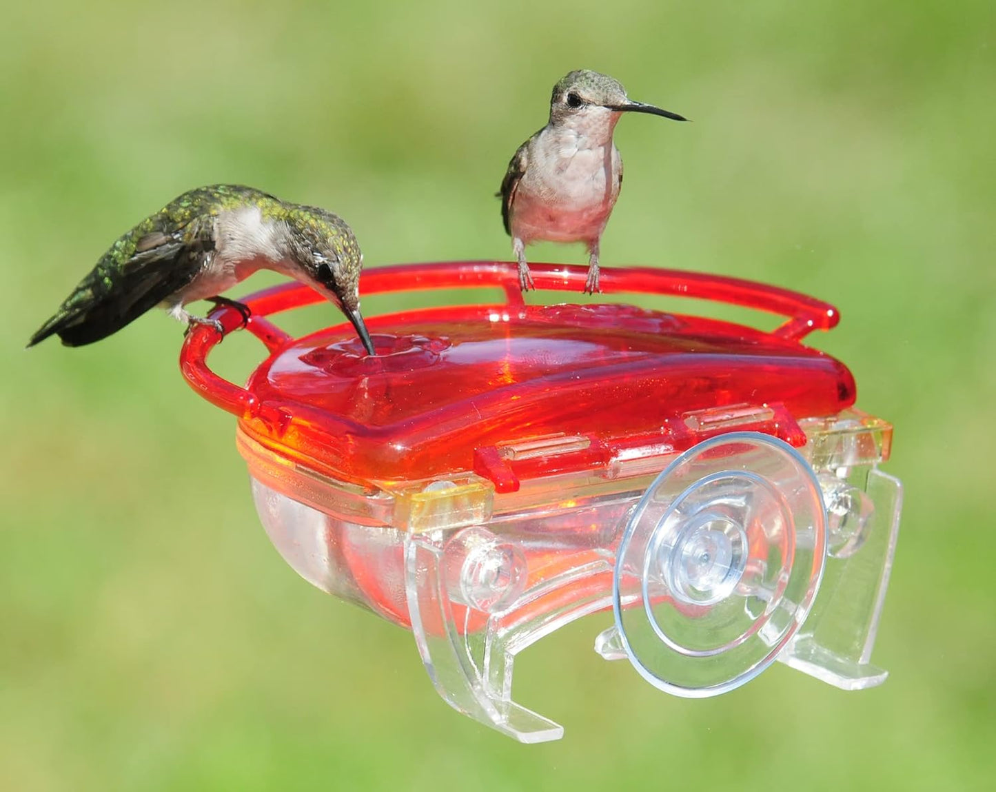 Aspects "The Gem" Window Mount Hummingbird Feeder, 4 oz - 437